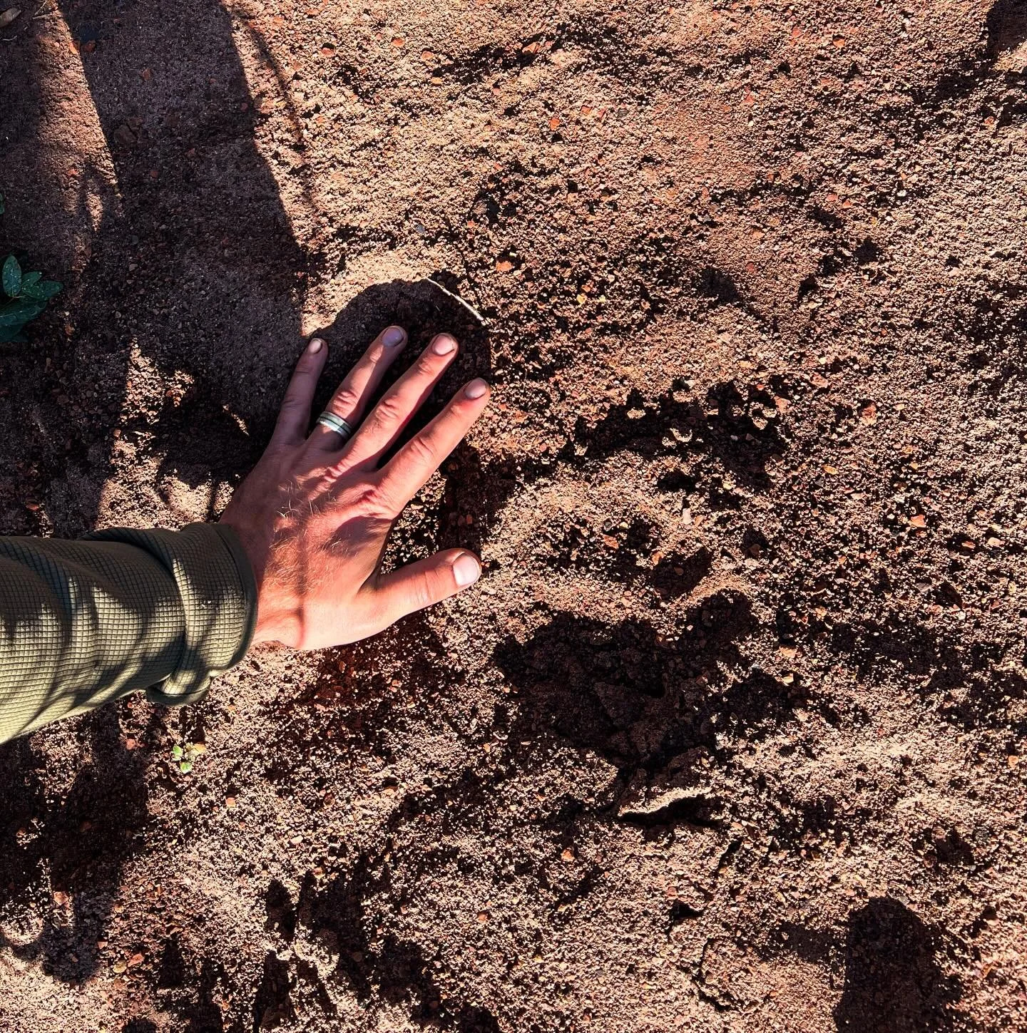 There&rsquo;s something about bears that always gets me excited when I know they&rsquo;re around. 

My close calls with them the past few years have only made me more drawn to them, and I know it will be almost bittersweet when I get my first bear. 
