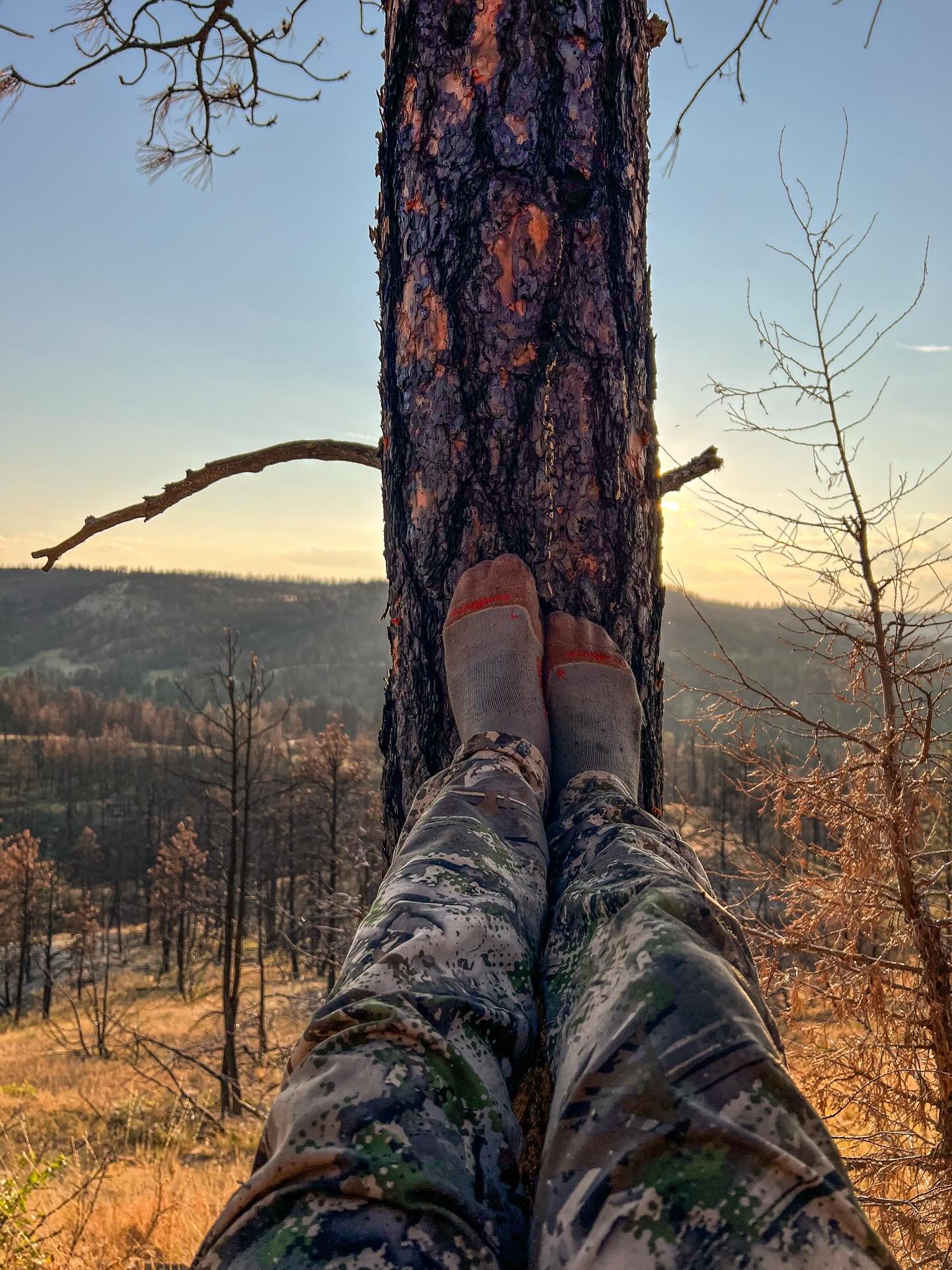 Missing the hot September days, with boots kicked off, hiding behind a tree for shade, listening, and glassing for elk. 

#OehlerOutdoors