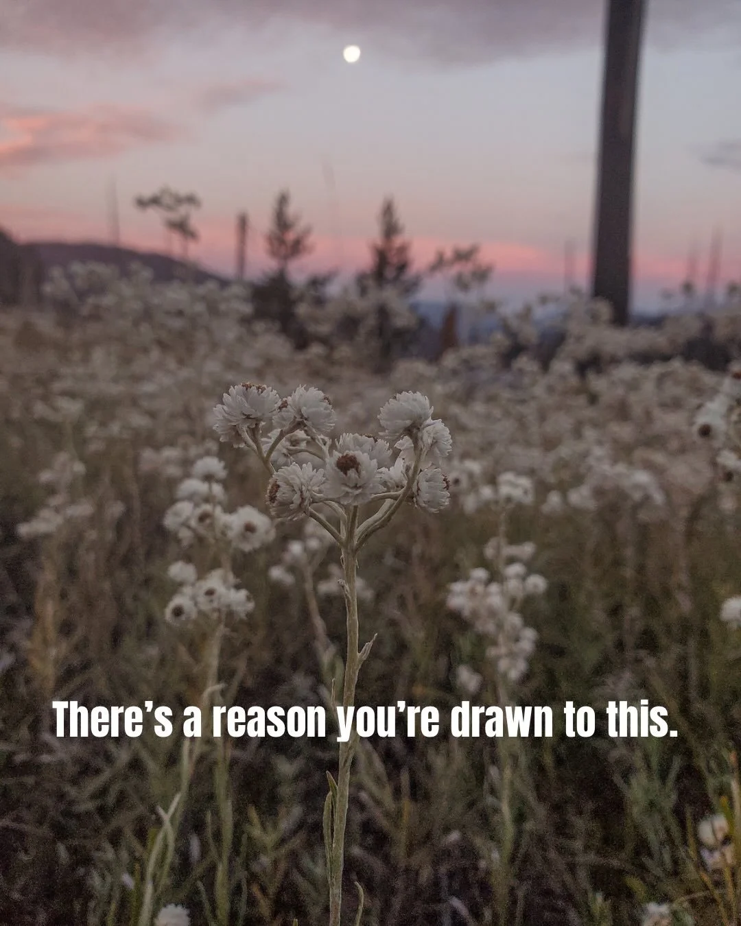 Psalm 19. Romans 1:20. Colossians 1:16. 

#RestRegainReconnect