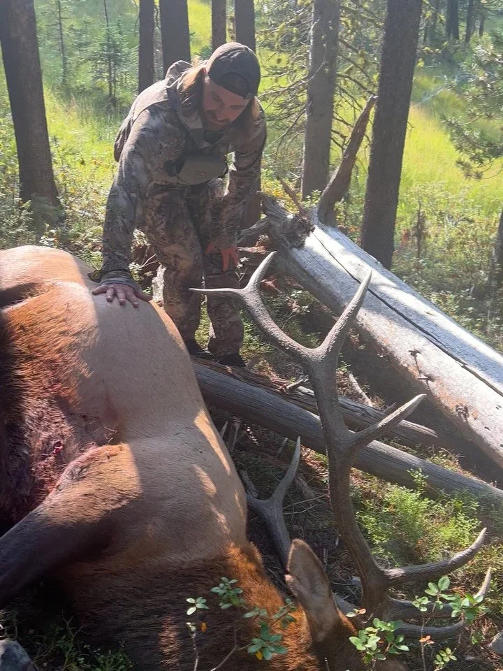 Reminiscing on elk seasons passed. 💭

#OehlerOutdoors