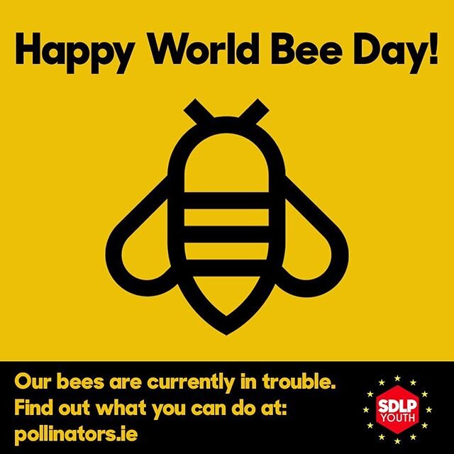 Today is #WorldBeeDay! 🐝 One third of our bee species in Ireland are threatened with extinction. Pollinators are vital for our ecosystem so we must create an Ireland where they can survive and thrive! Check out the All-Ireland Pollinator Plan at pol