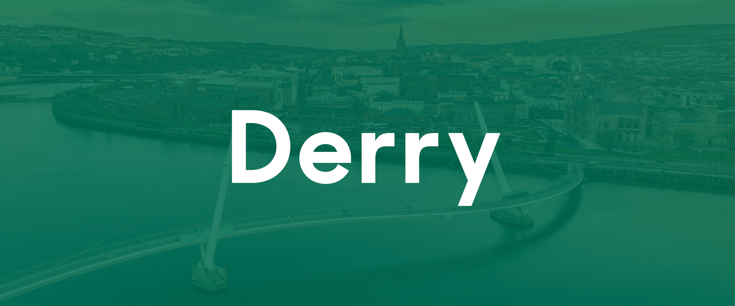 SDLP Youth Branch Banner Derry.png