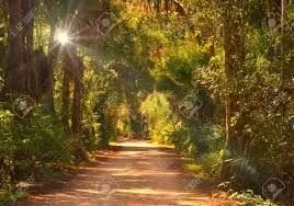 A Service of Prayer for the Beginning of Day (Wednesday, July 1, 2020)