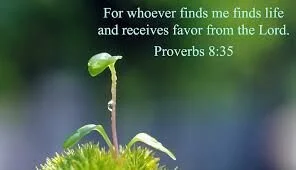 A Service of Prayer for the Beginning of Day (Wednesday, July 8, 2020)