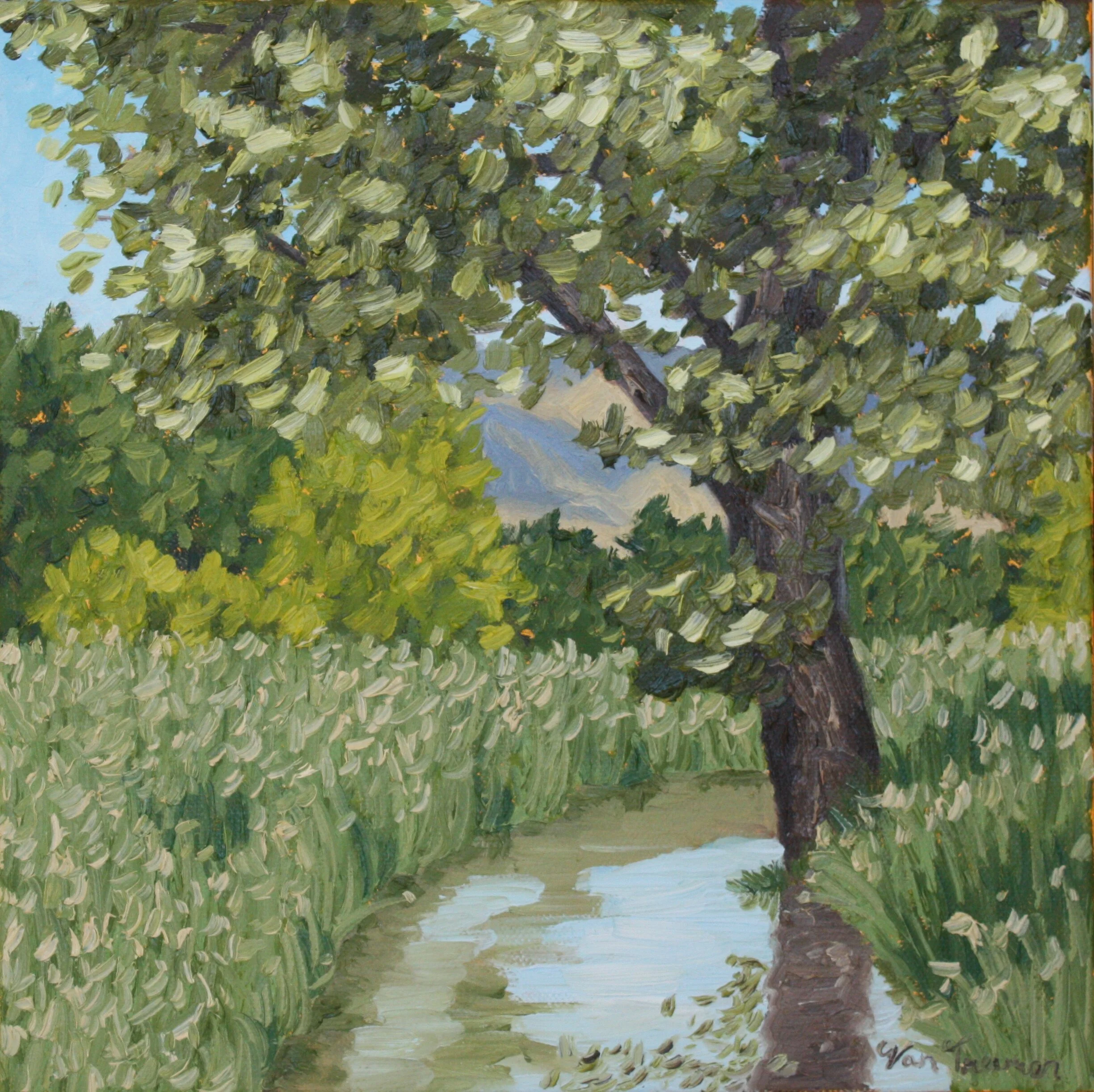 A Service of Prayer for the Beginning of Day, (Wednesday, September 2, 2020)