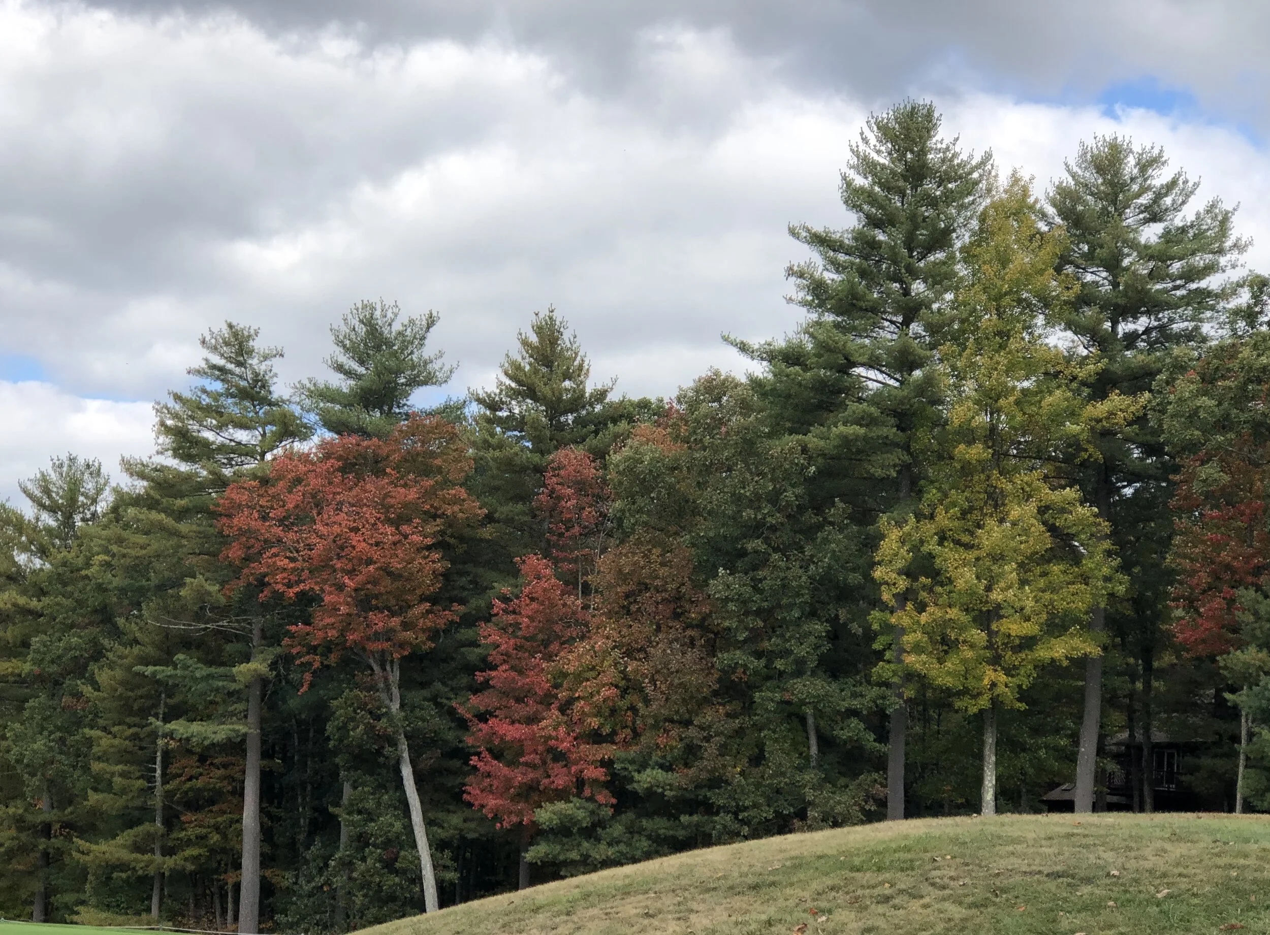 A Service of Prayer for October 7, 2020