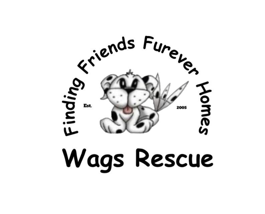Collecting Donations for the Dogs of Wags Rescue