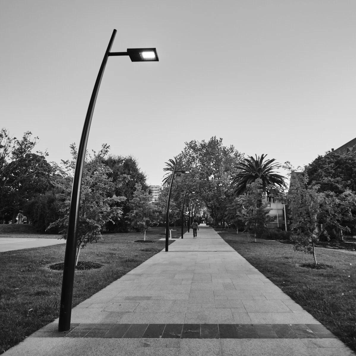 Princes Gardens, Prahran September 2020