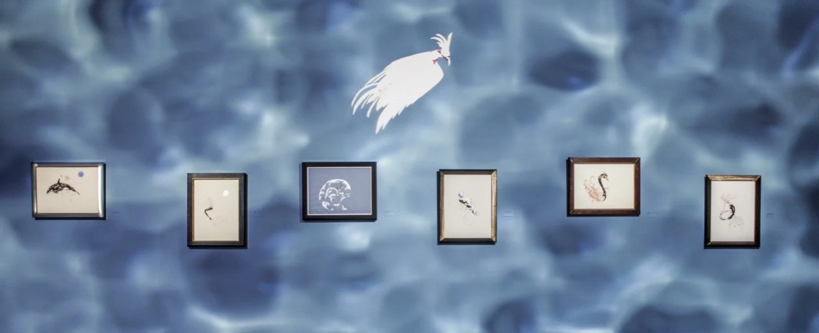 Loan born in Blue Show-3.jpg