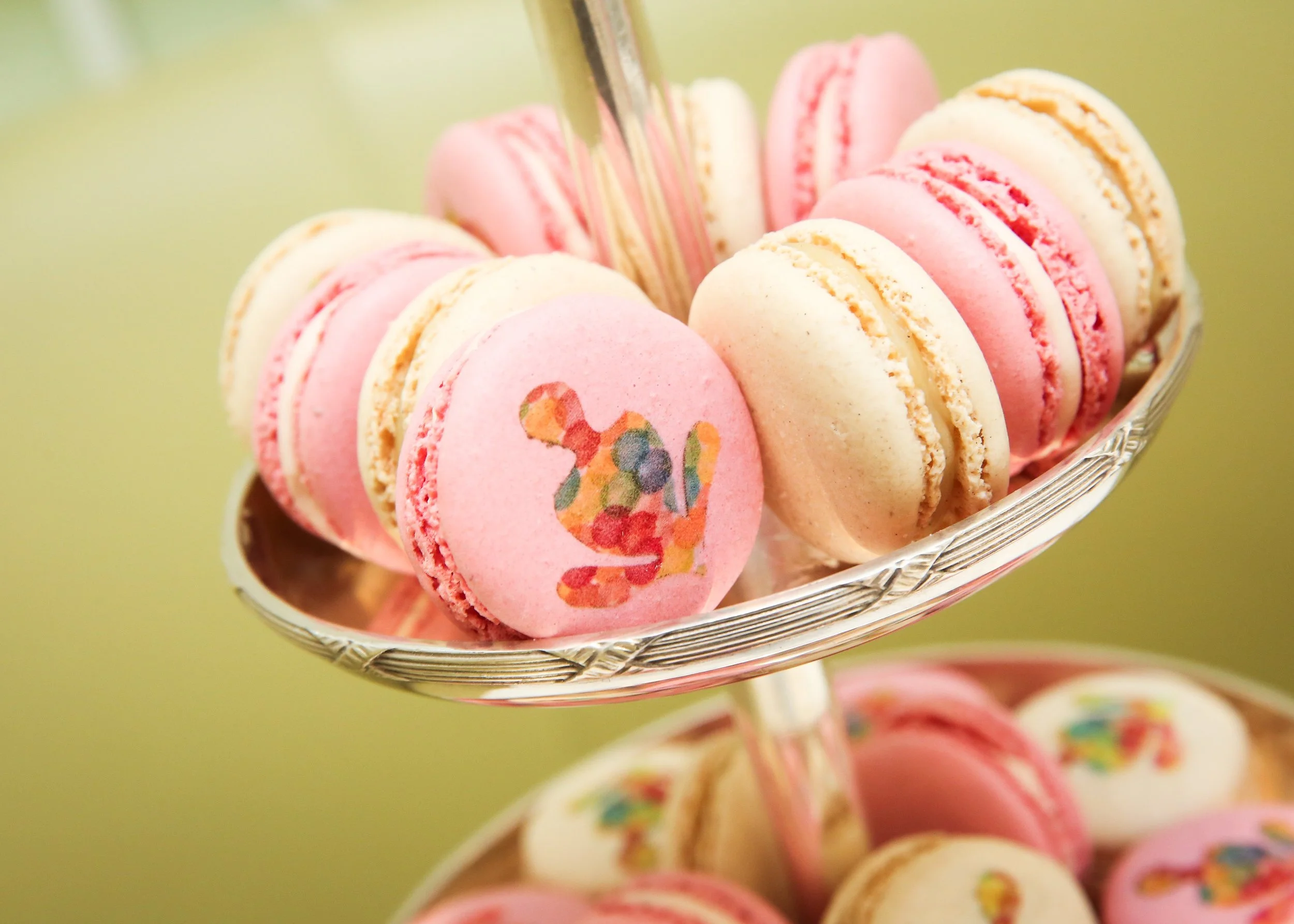 2018-03-22 00.00.00-11.jpg