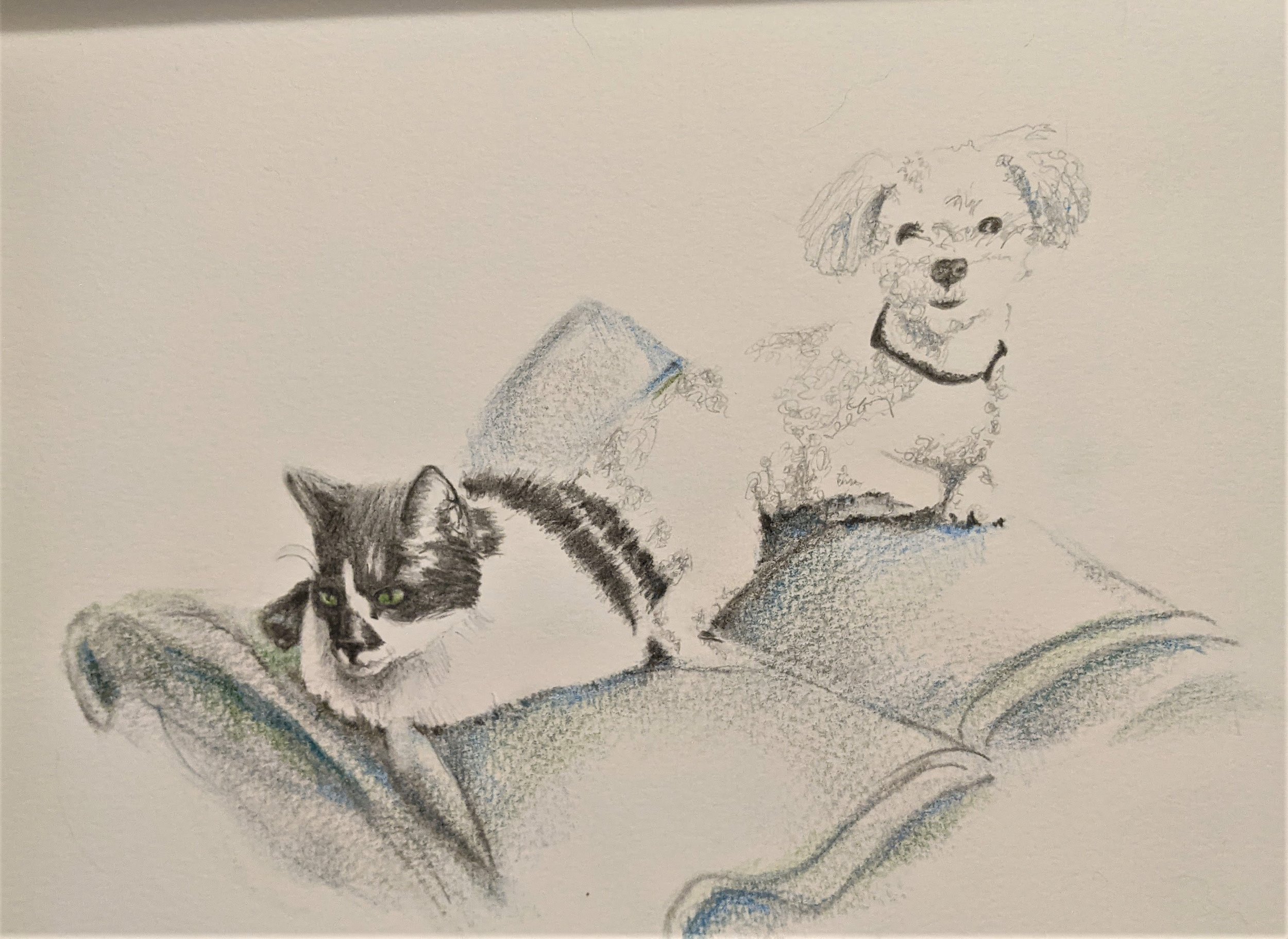 ZEE AND LINCOLN