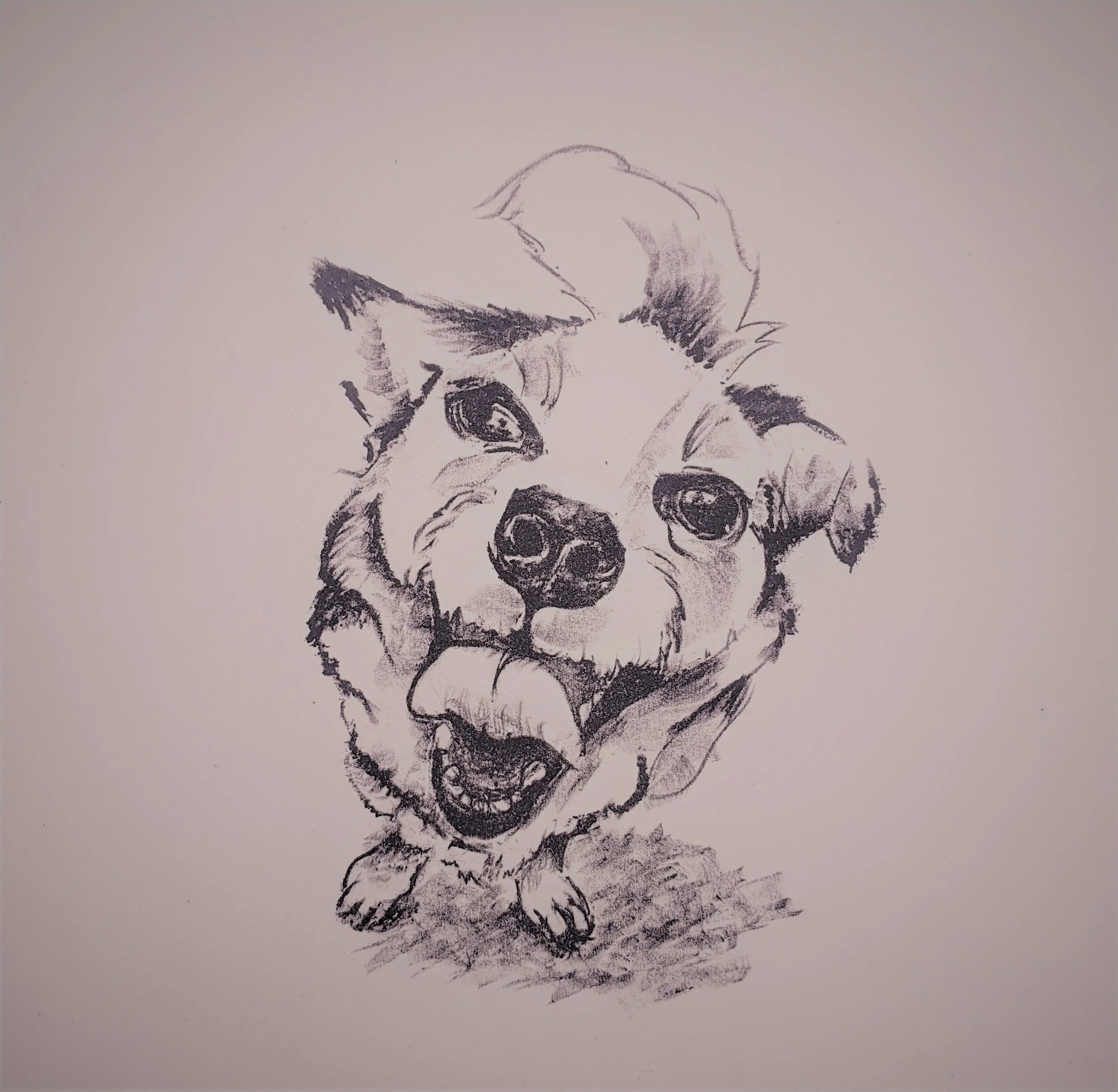 Maggie no color (4).jpg