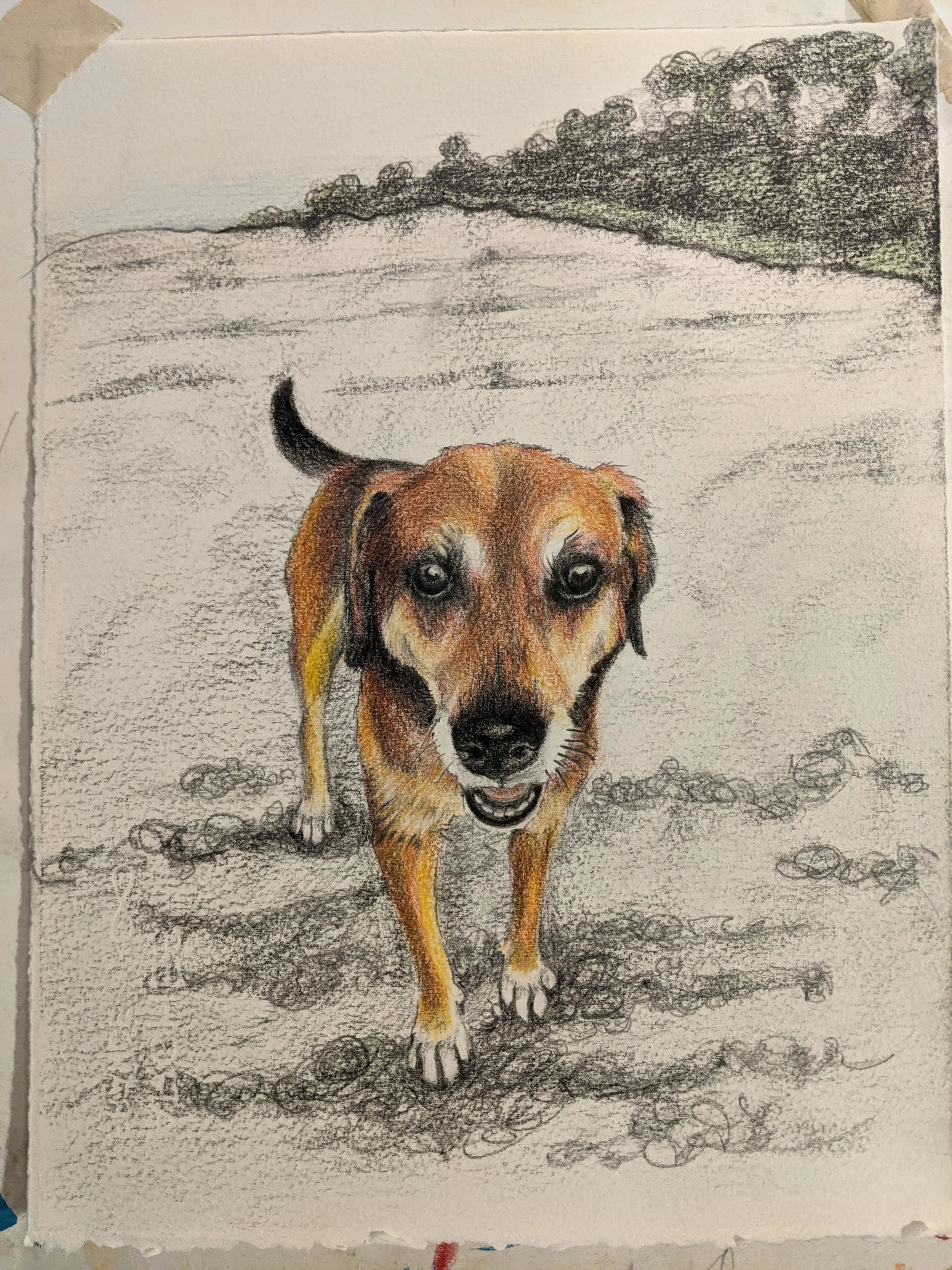 Beach Lover