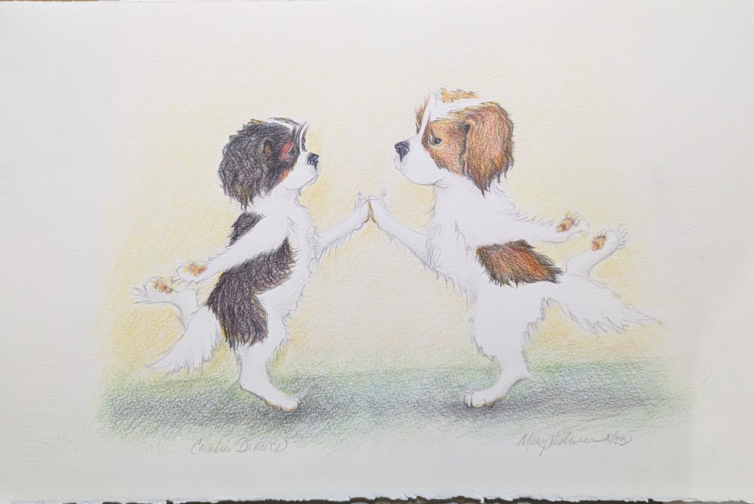 Cavalier Yogis