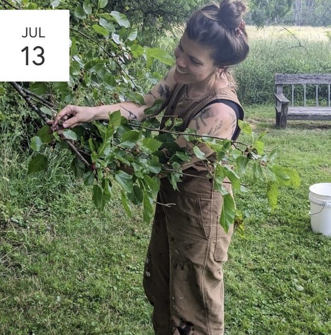 July Foraging Walk