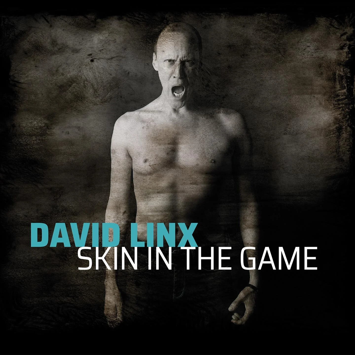 David Linx Skin in the Game 2021.jpg