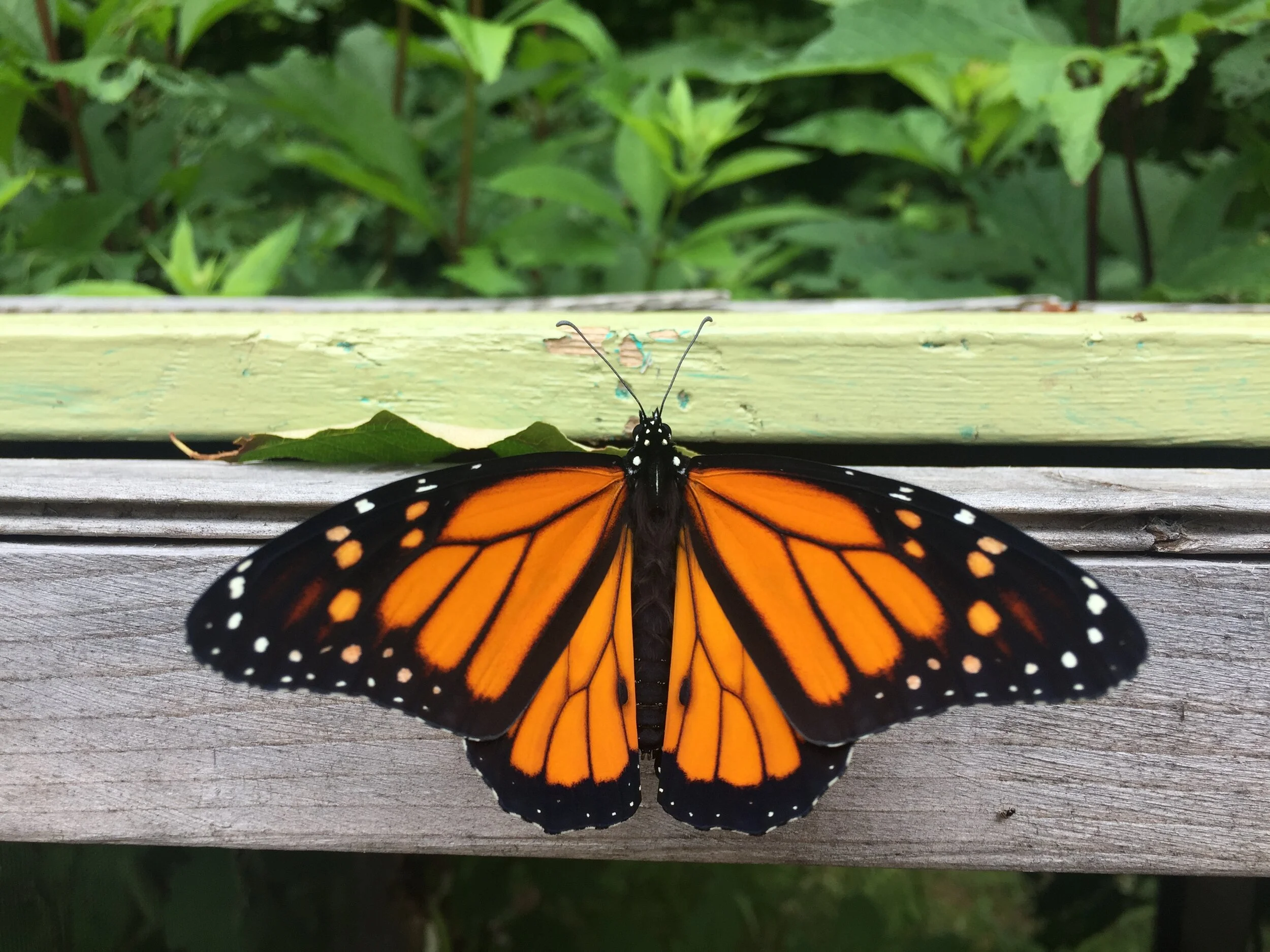 are you changing again? 