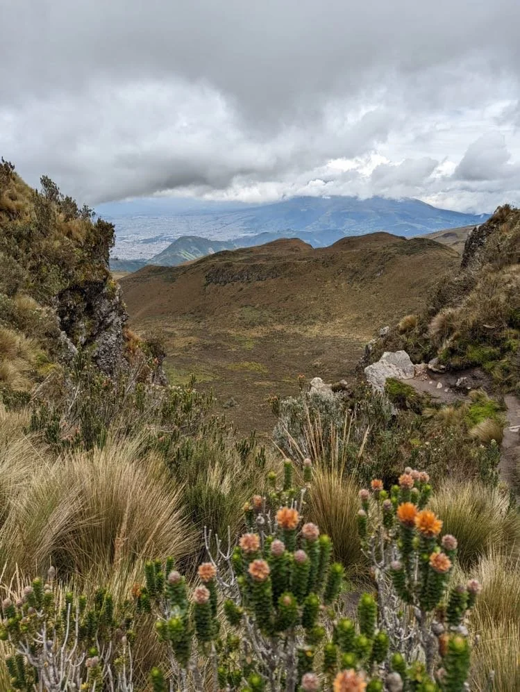 "wherever you go, there you are"