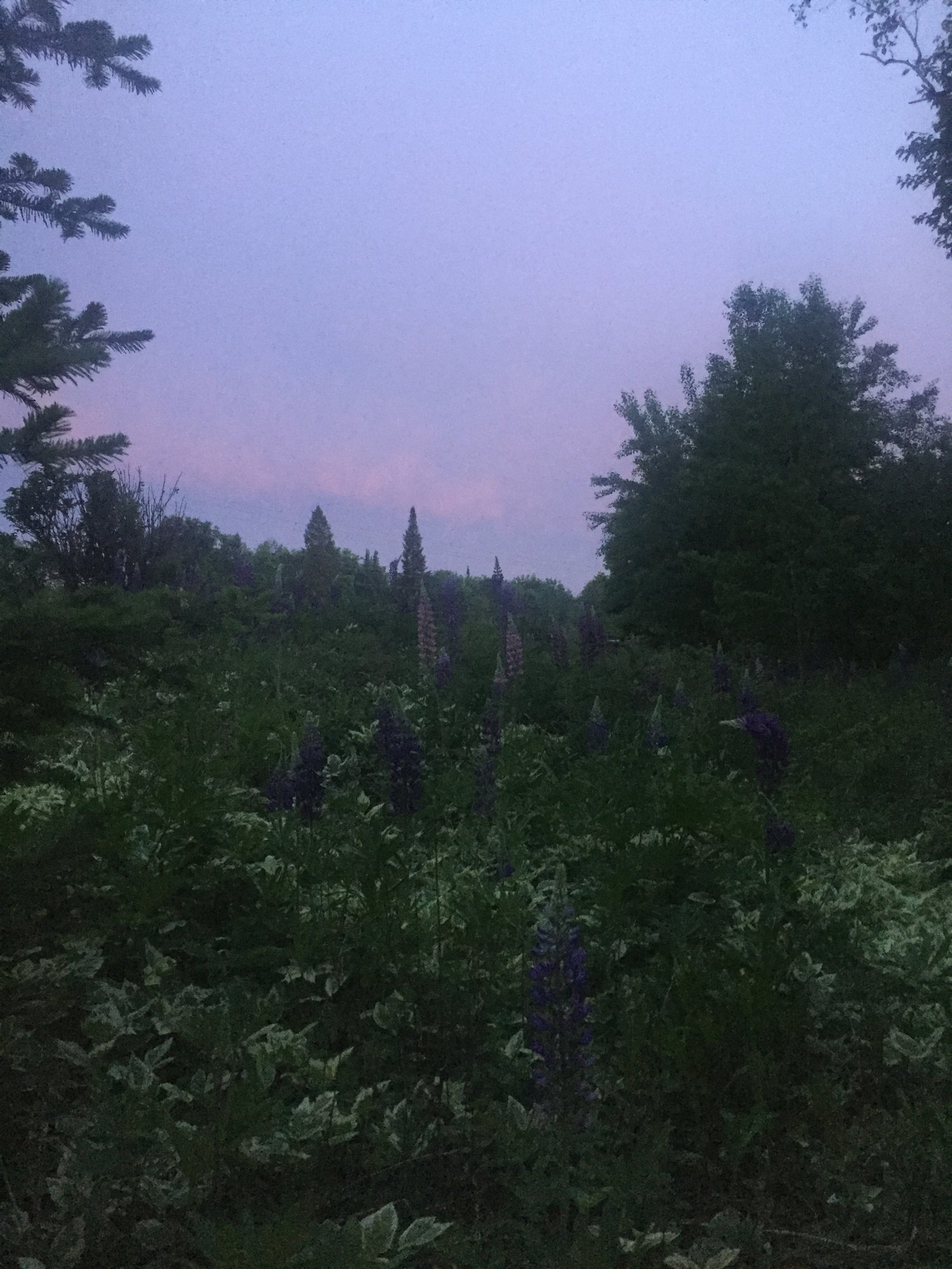 this only happens once