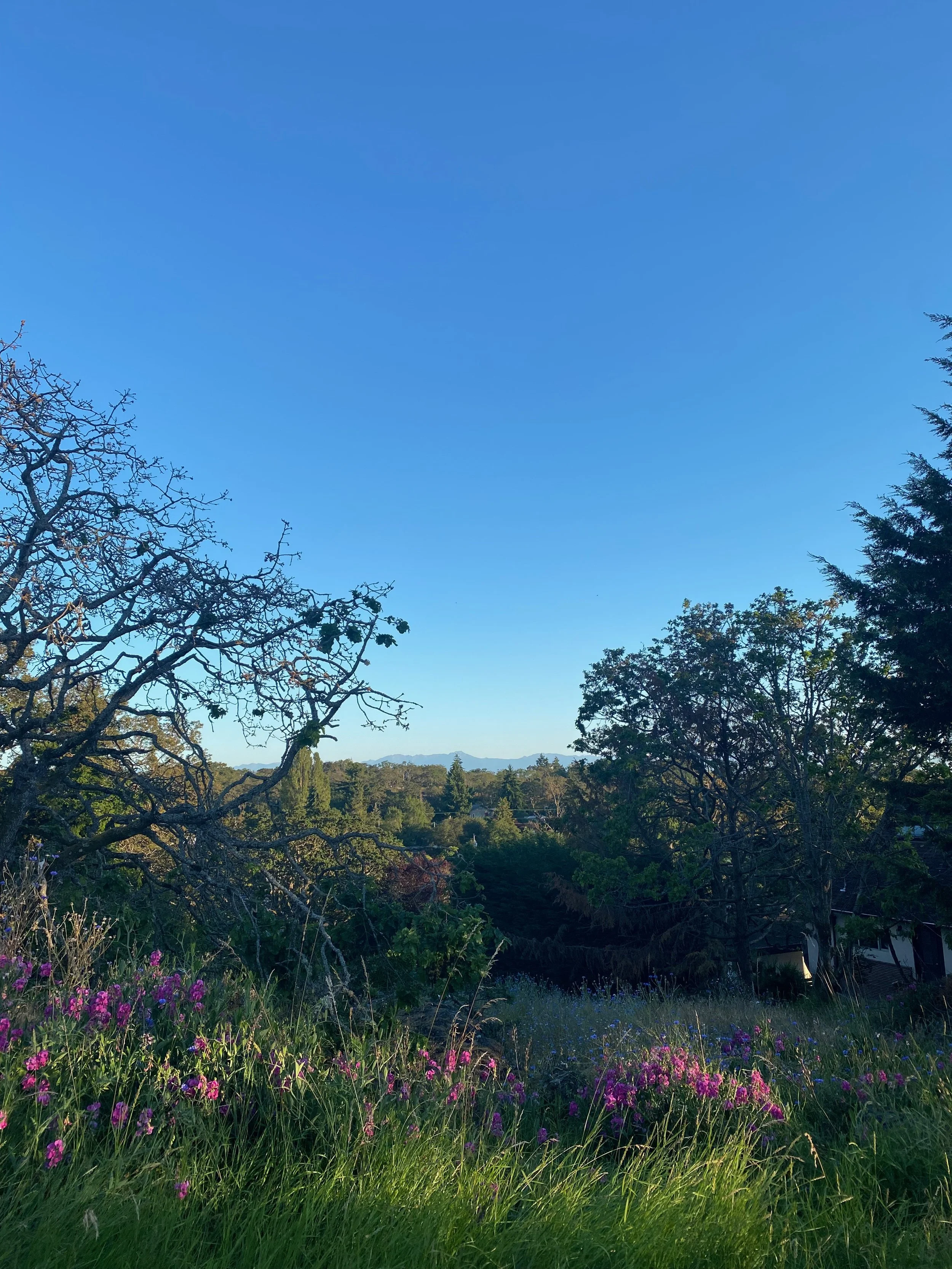 notions of creativity