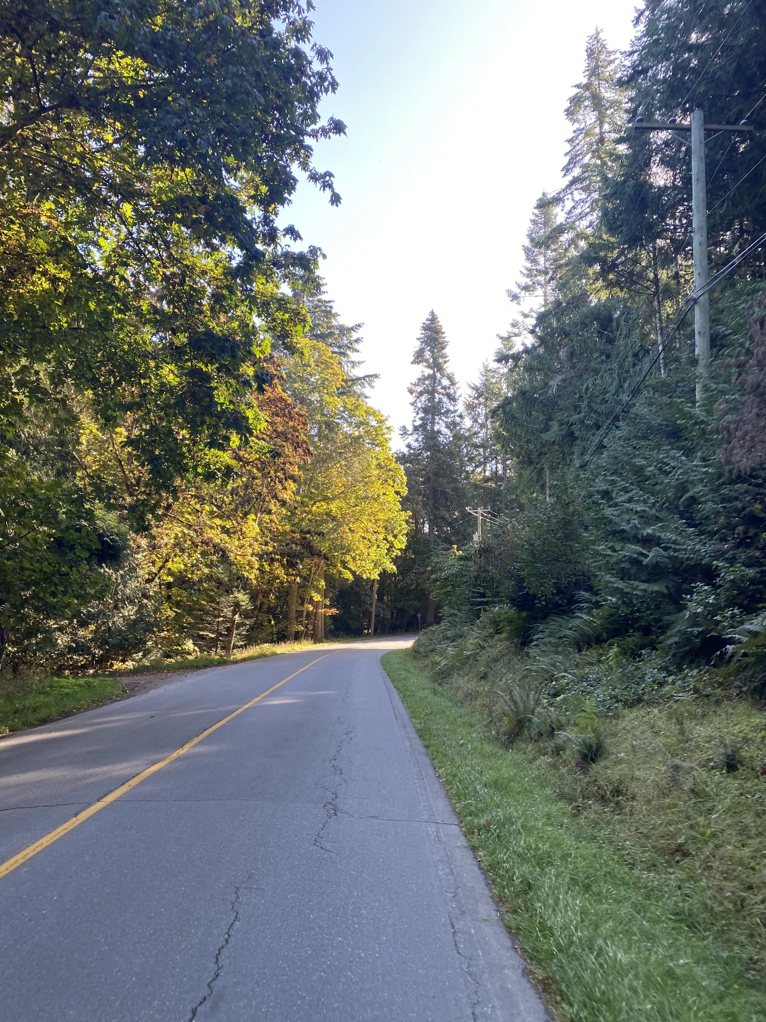 lessons in how to surrender