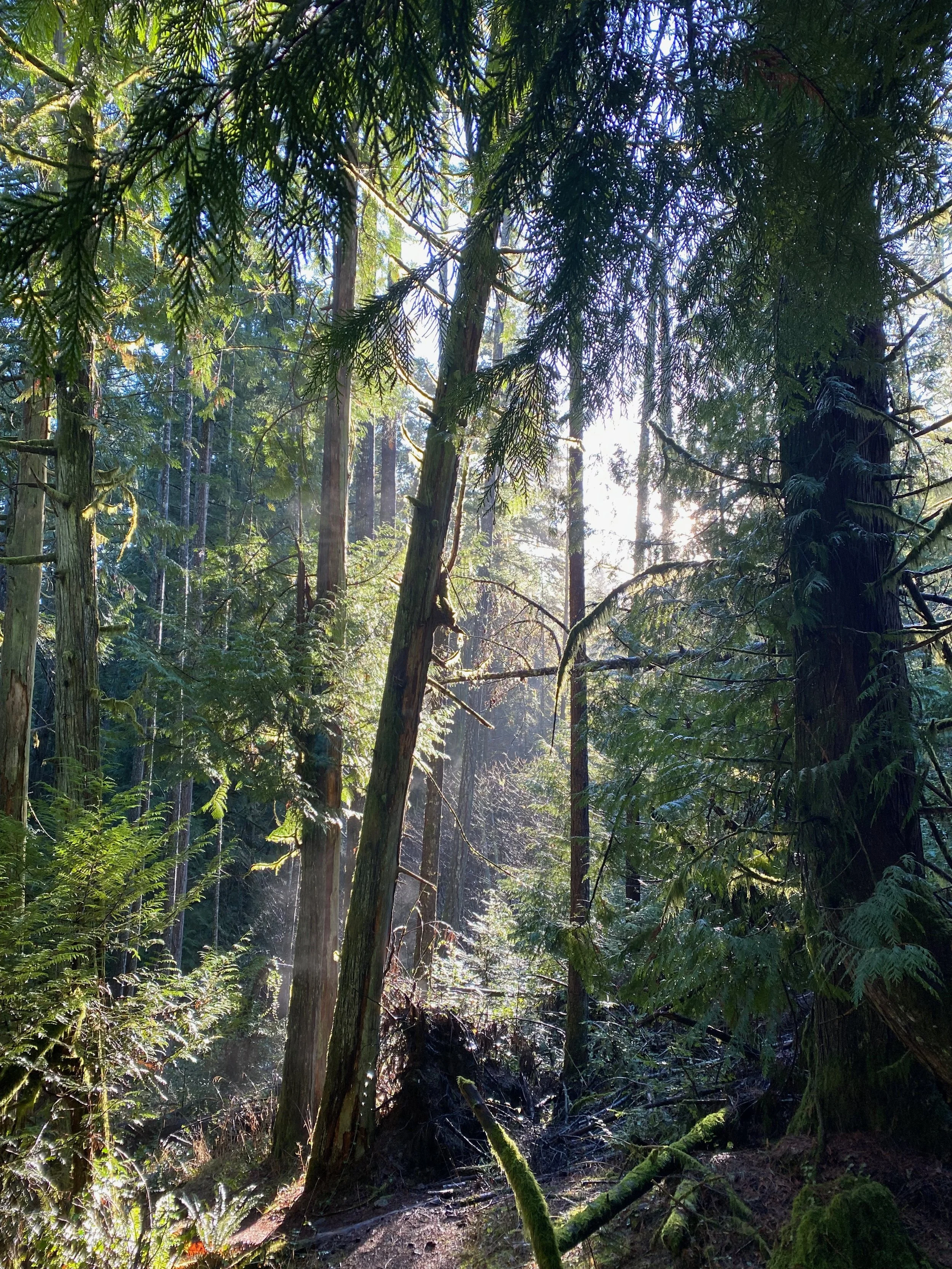 opening up, leaning in