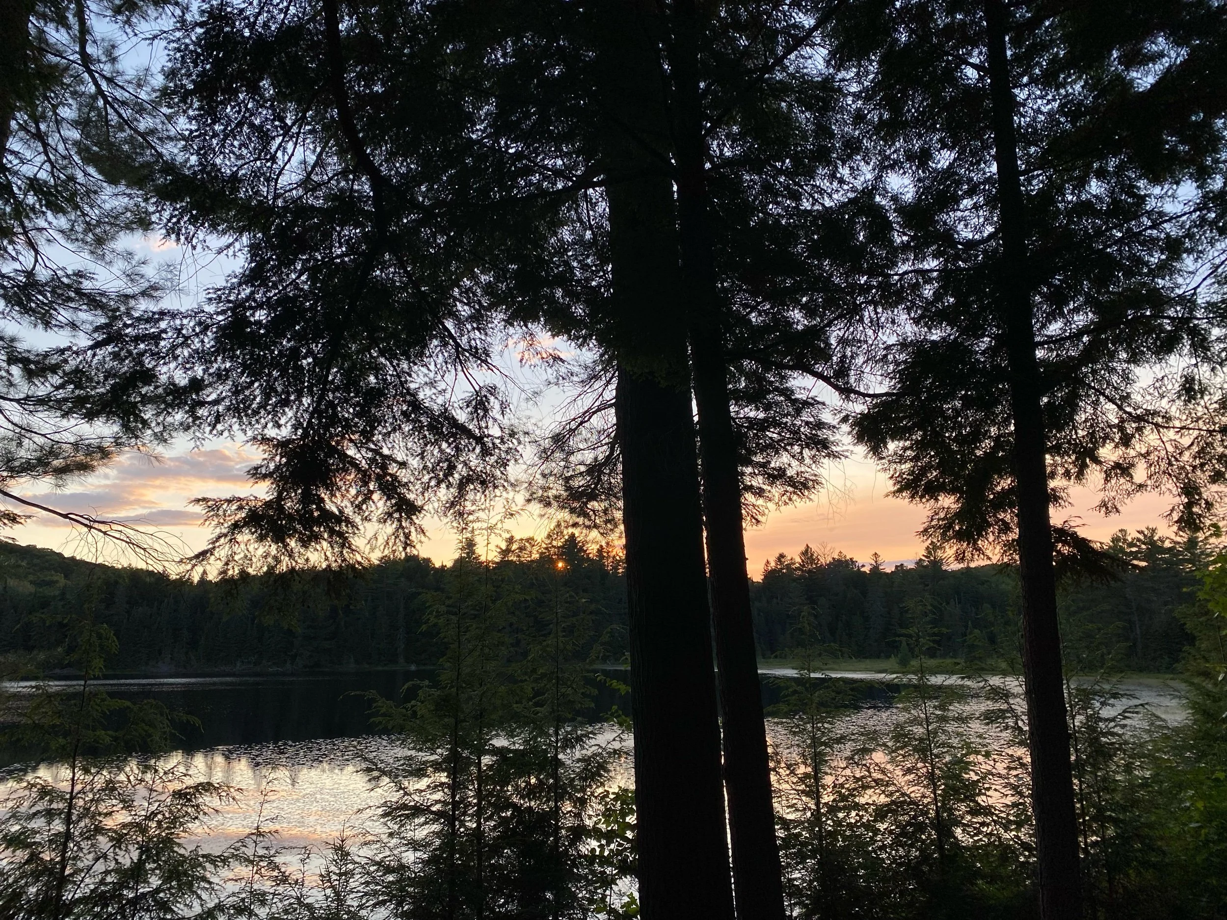 where the loons call