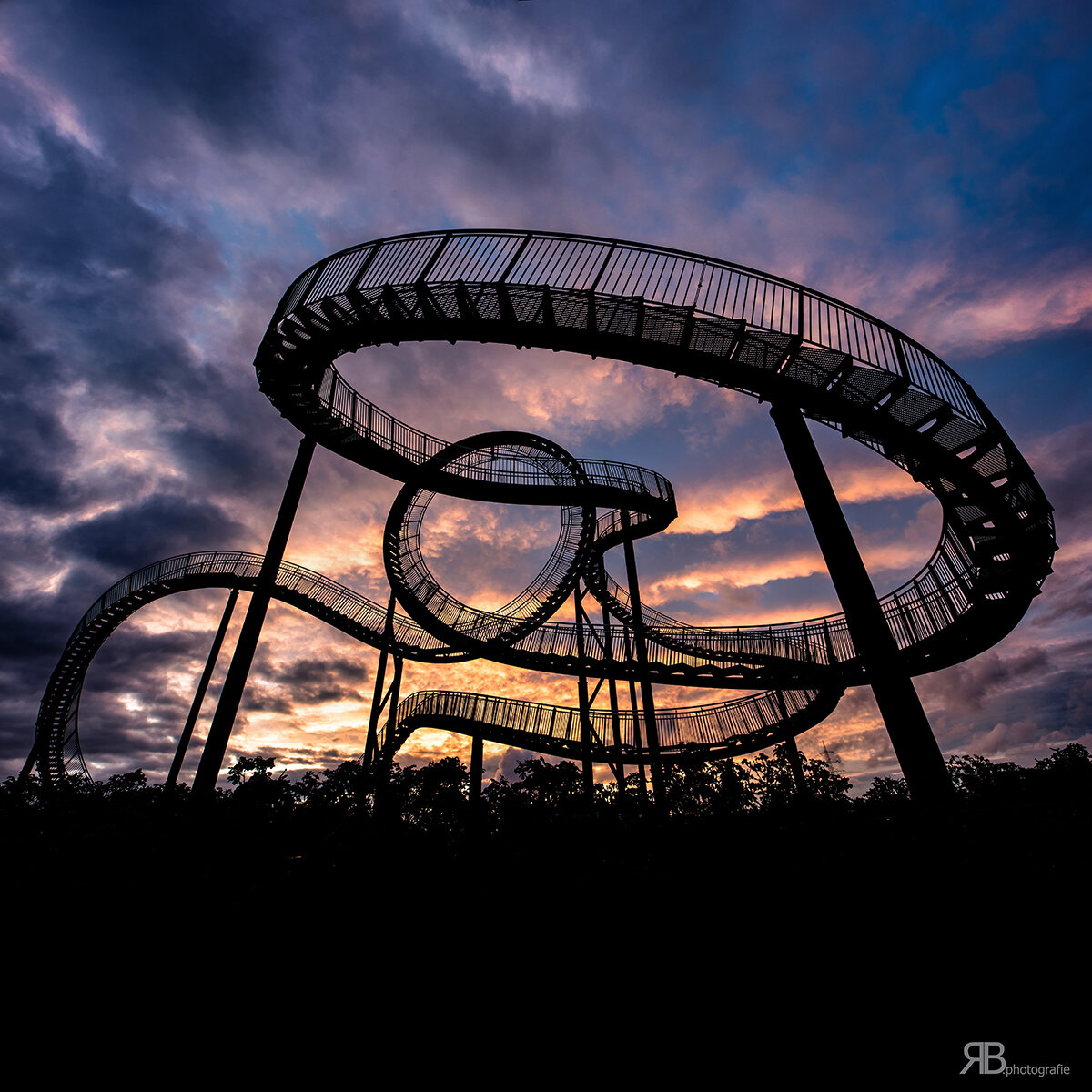 Tiger and Turtle.jpg