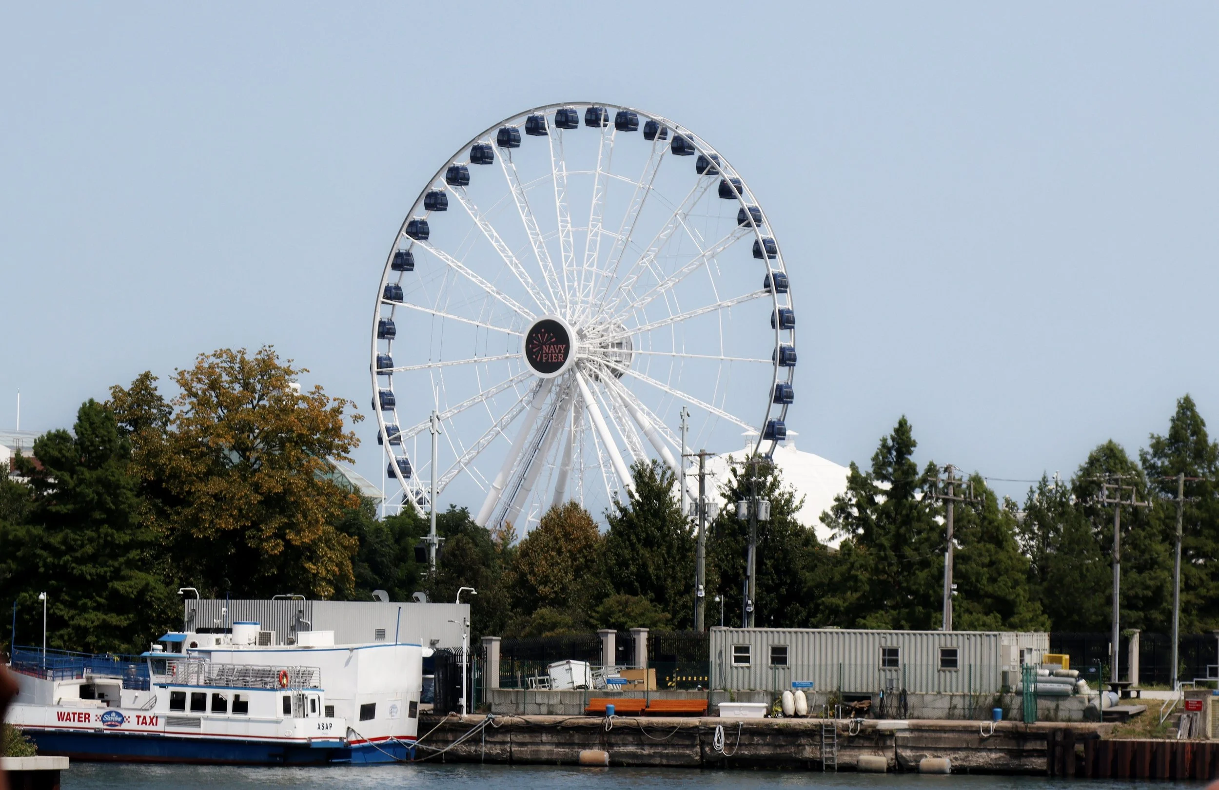 Chicago Other Shots 07-50%.JPG