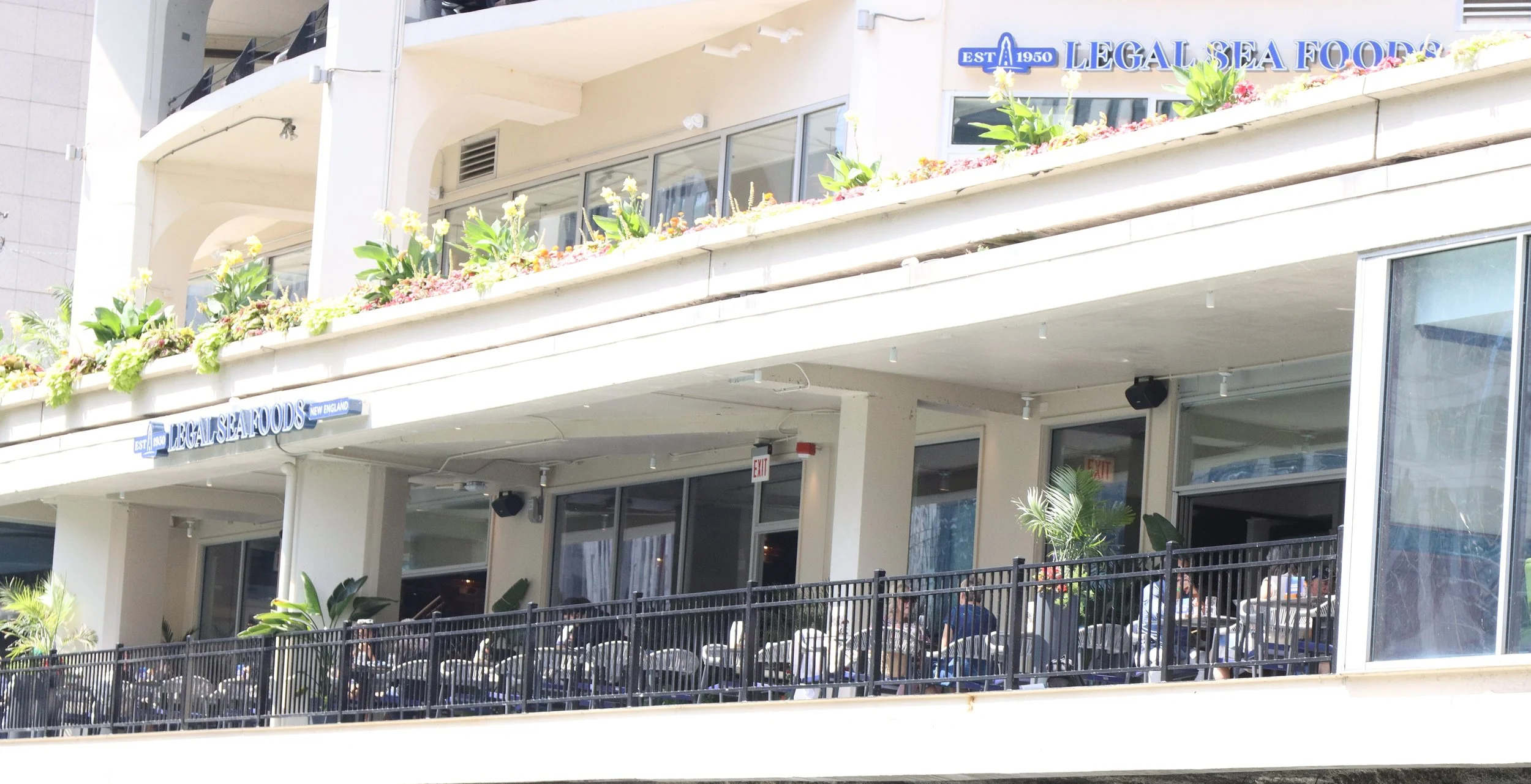 Chicago Other Shots 19-50%.JPG