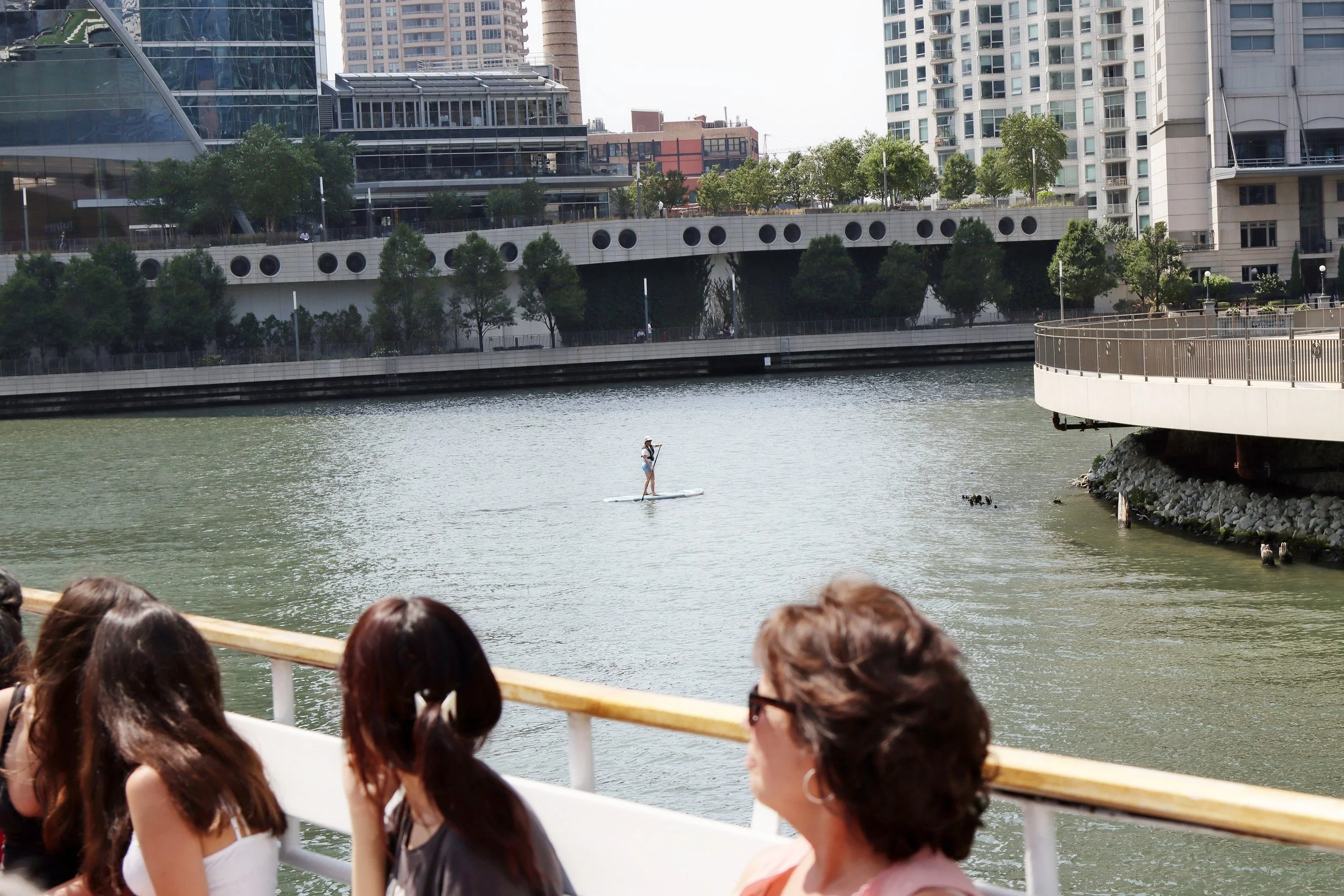 Chicago Other Shots 11-50%.JPG