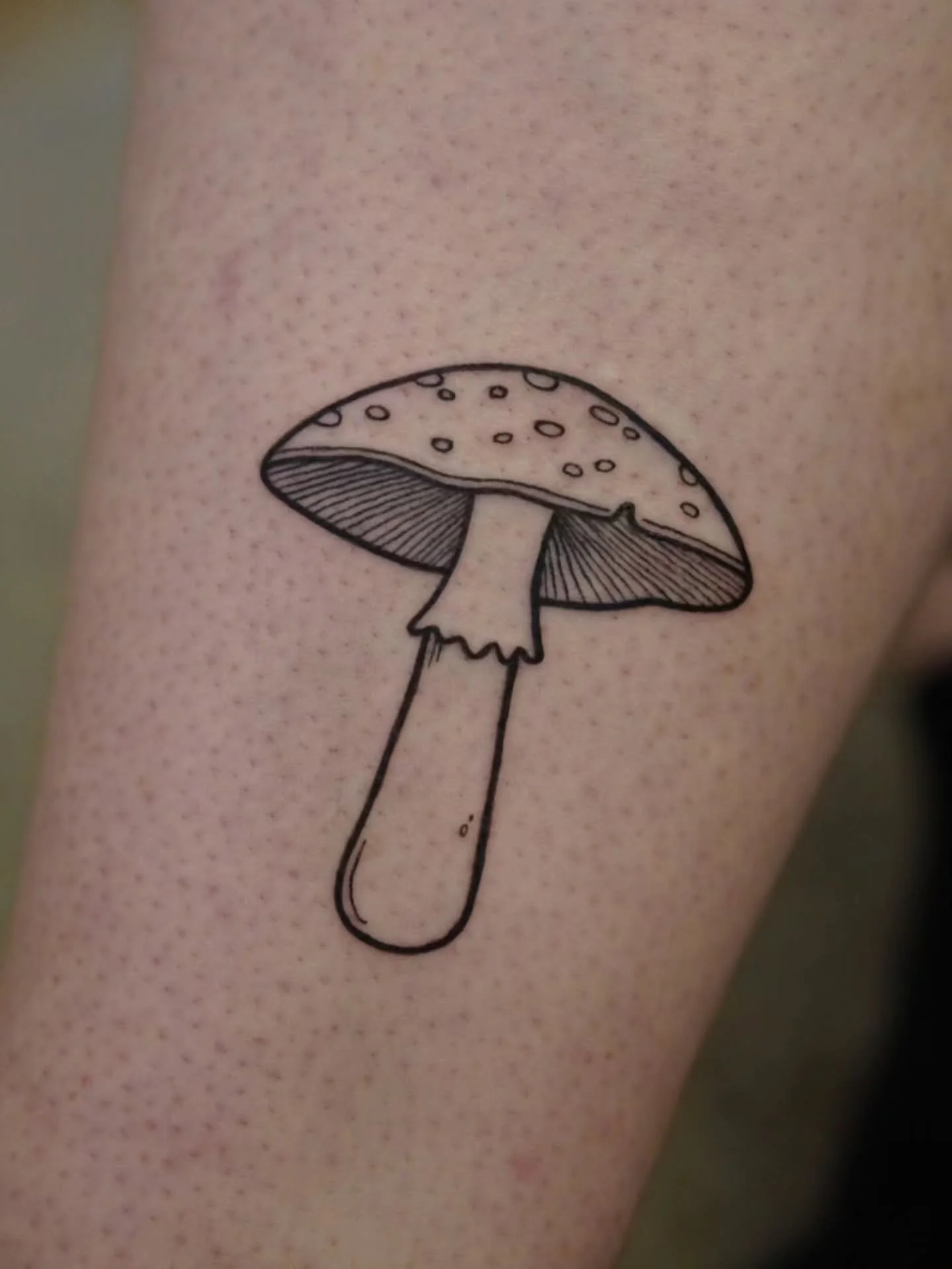 So special to do someone's first tattoo! This one was a cute mushroom for @anniiie.jae 🍄

My bookings are open and I would love to tattoo you! Send me a message with your idea x 

#tattoo #tattoos #tattooaachen #aachentattoo #tattooing #tattooartist