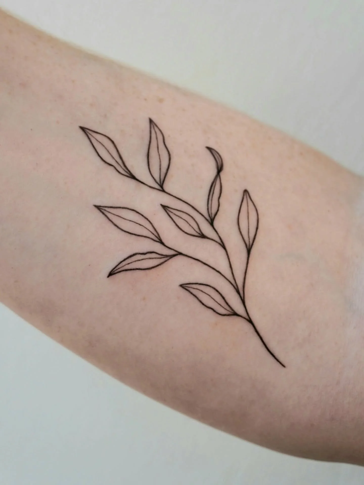 A small branch for @anniiie.jae 🍃🌿

#tattoo #tattoos #tattooaachen #aachentattoo #tattooartist #naturetattoo #leaftattoo