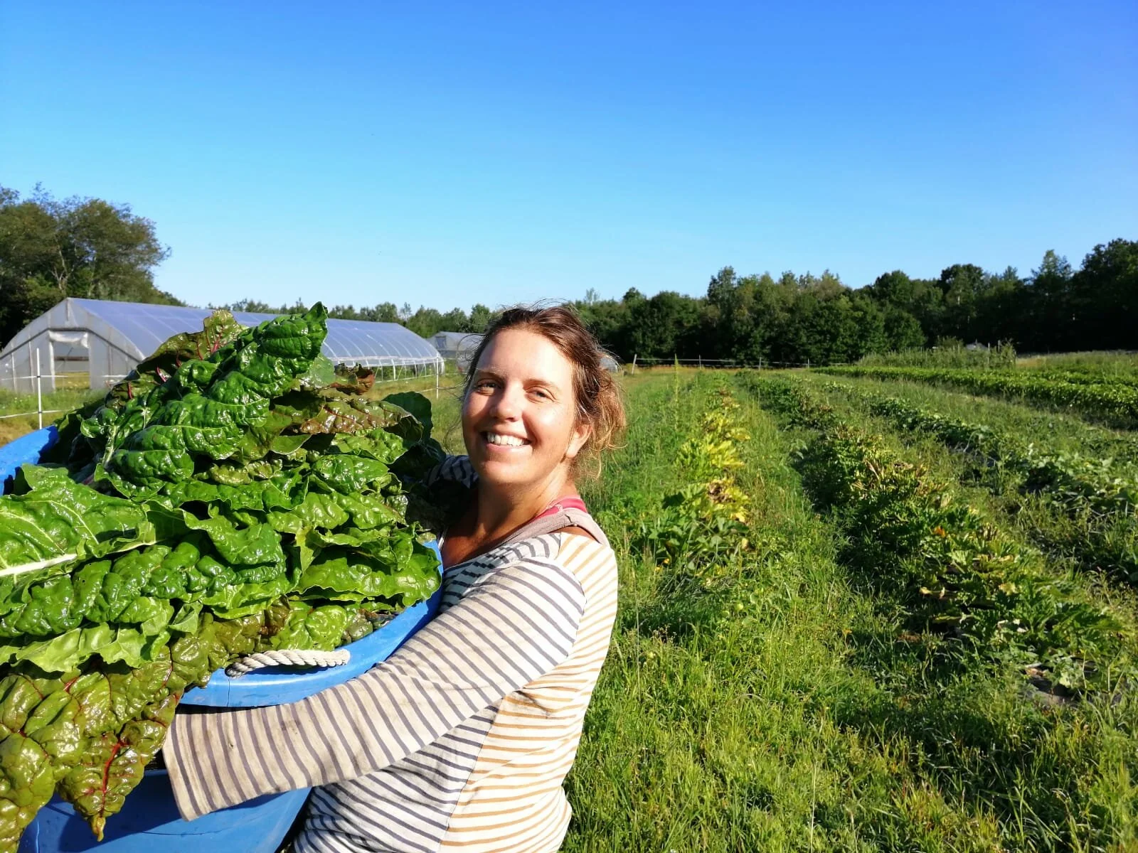 The Farm — Community Supported Agriculture