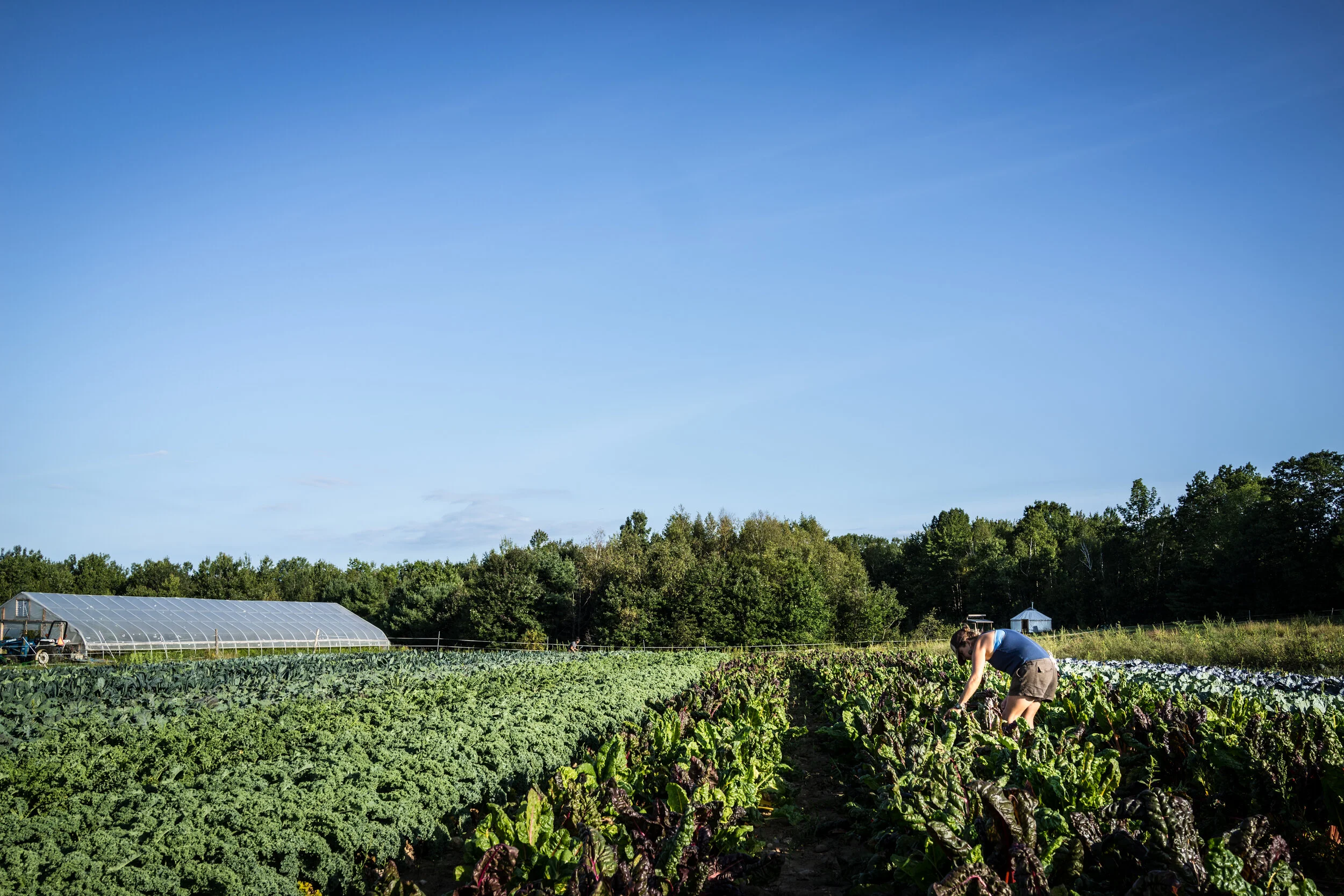 Community Supported Agriculture