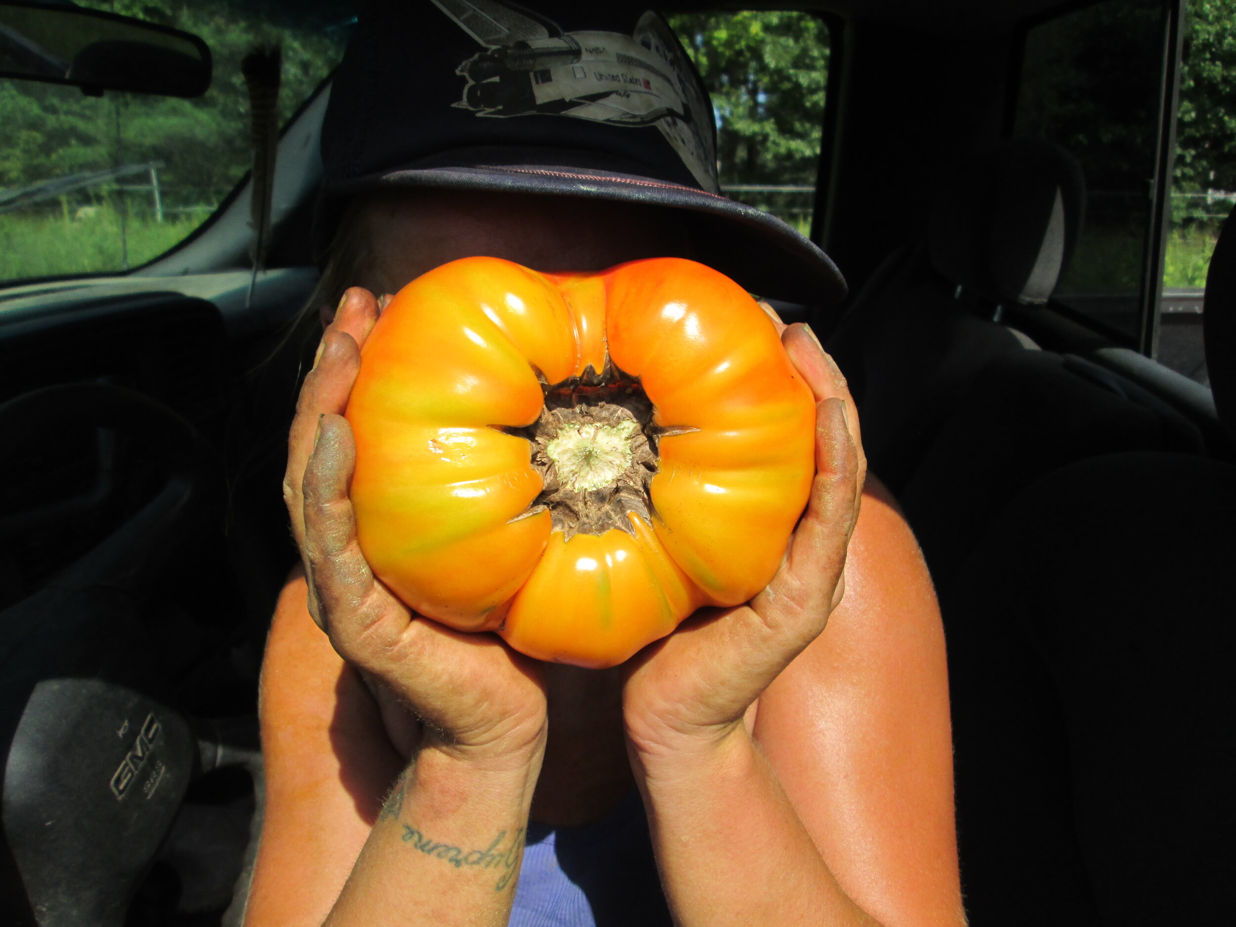 Community Supported Agriculture