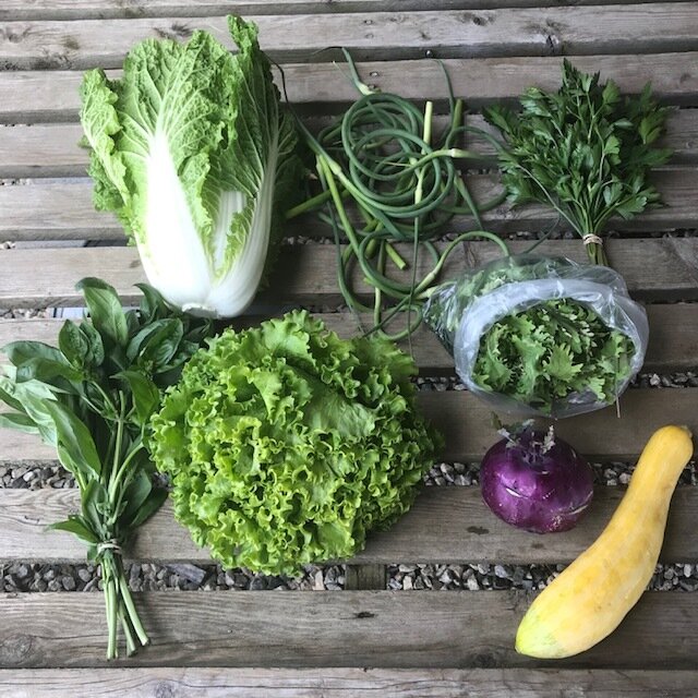 Community Supported Agriculture