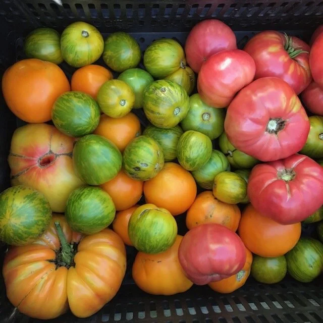 Community Supported Agriculture