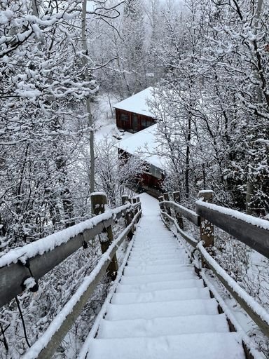 Someday when the ice melts, I'll go down these stairs.