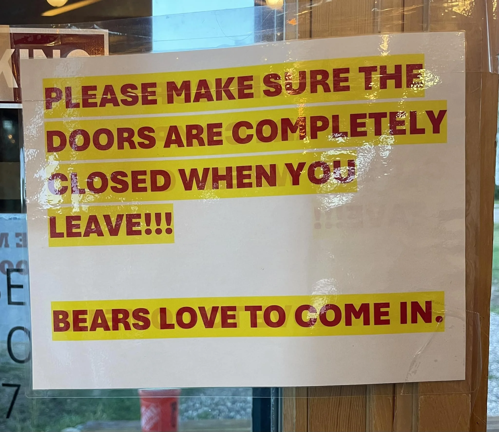 bears.jpg