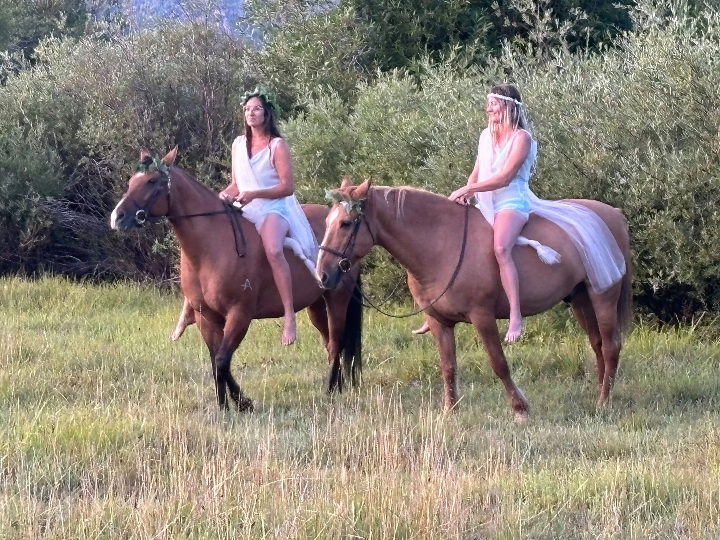 ladies on horses.jpeg