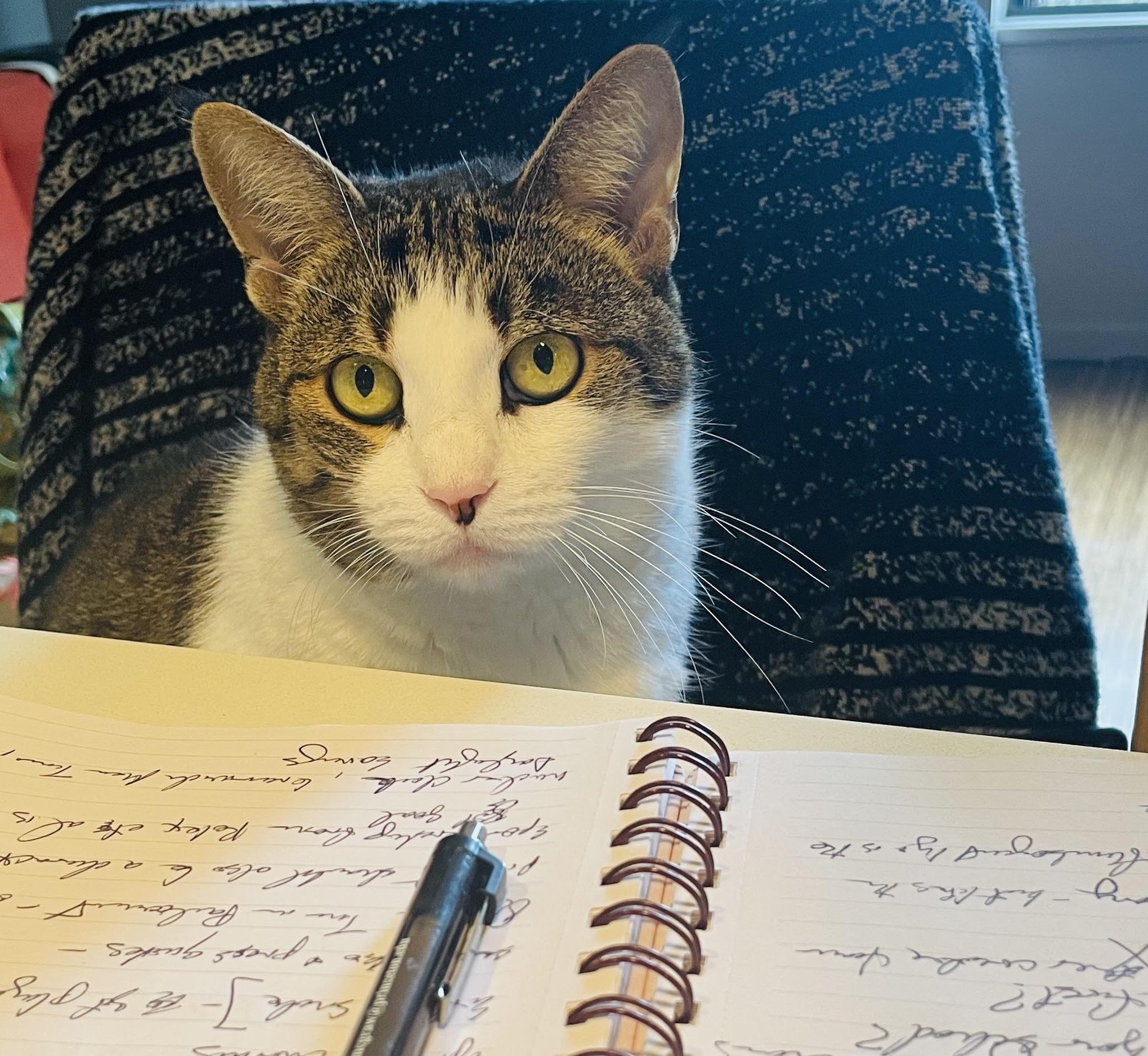 Editor in Chief Rosa always has notes.