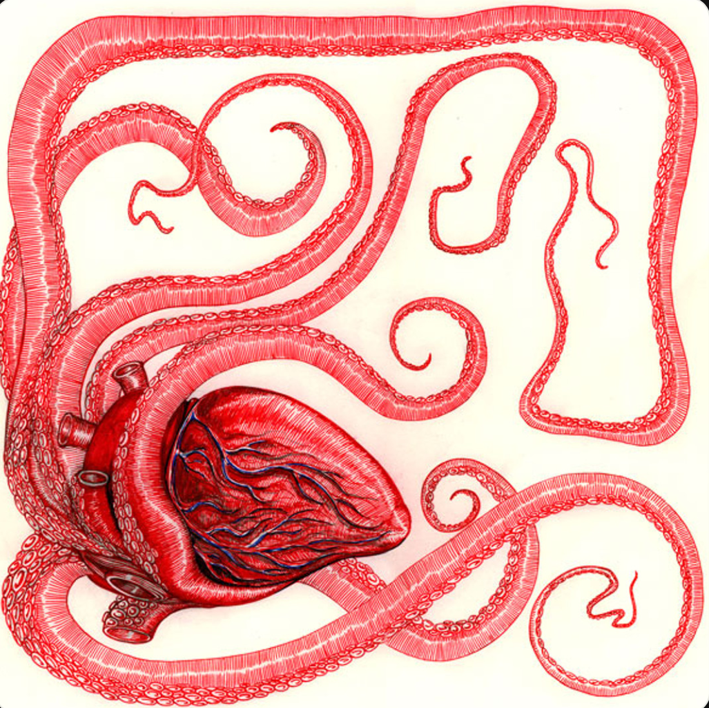 OCTOPUS HEART