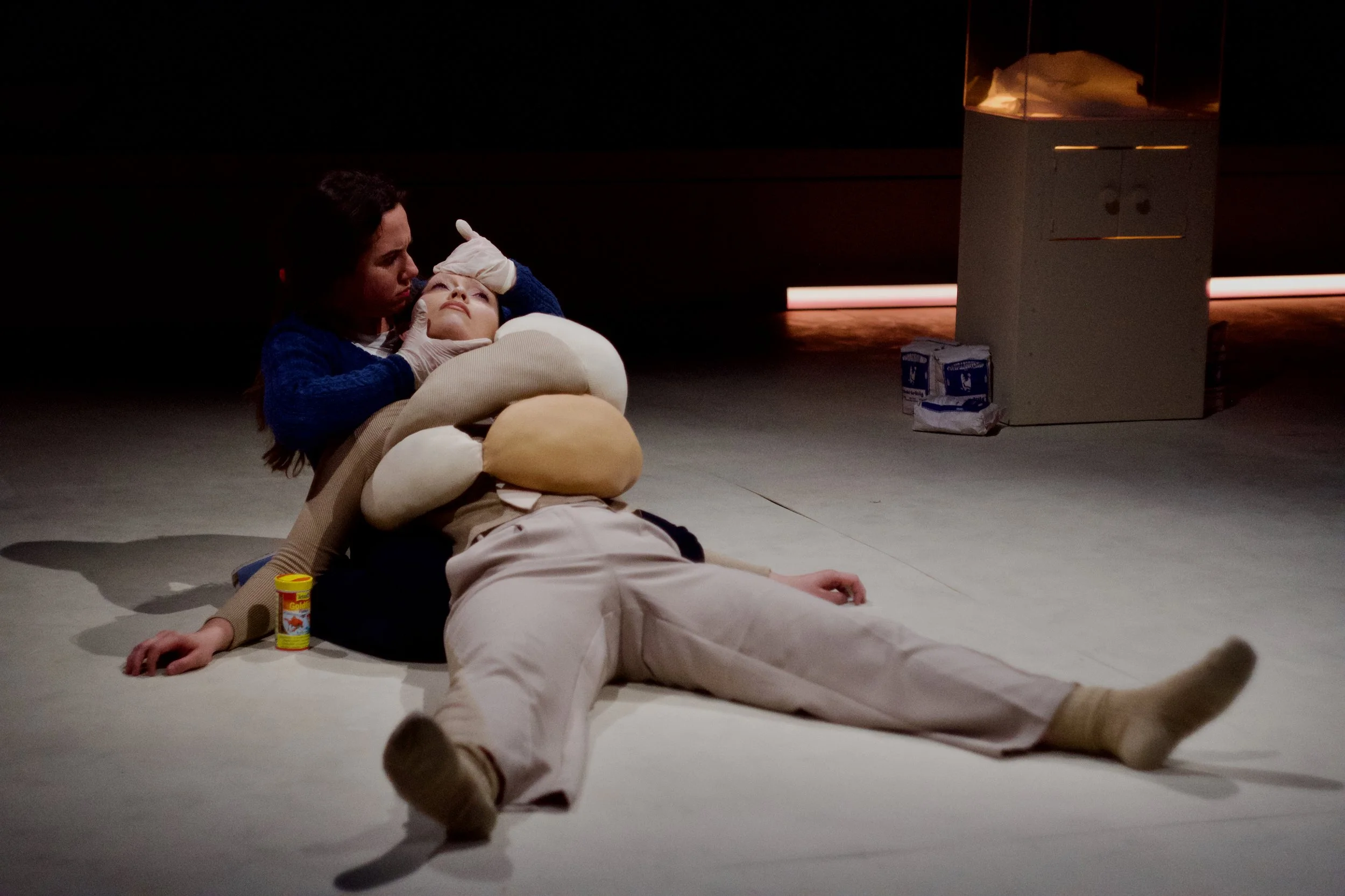 Scene from the MDW University of the Arts Vienna production of Companionship, an opera by composer/librettist Rachel J. Peters, adapted from the short story by Arthur Phillips