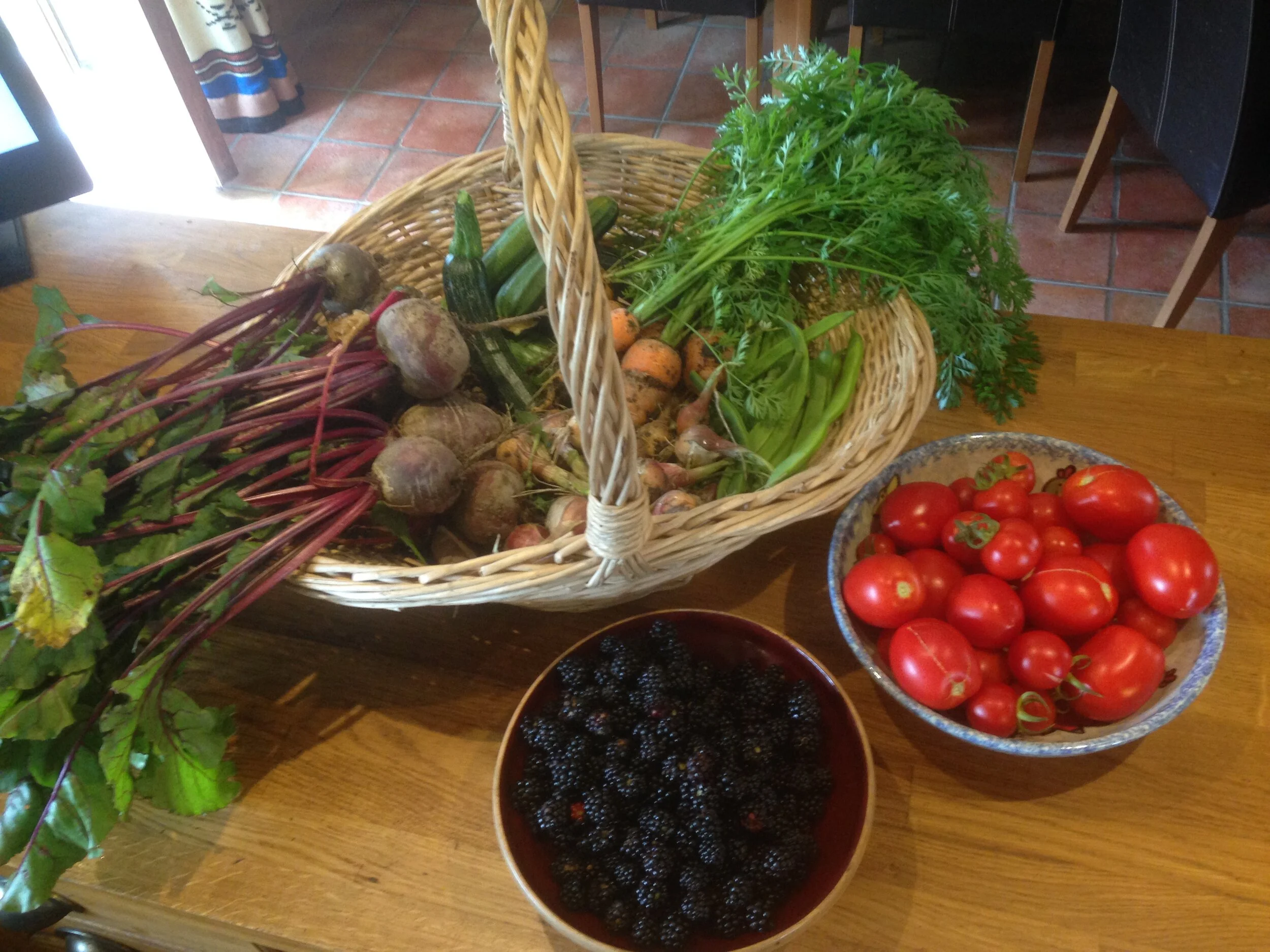 Blog: Welcome to my new website