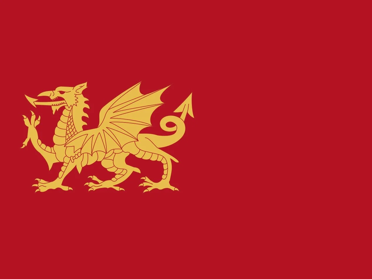 #futuregen contributions: Voices of Hope, Wales: Commentators, Advisors and Activists (3)