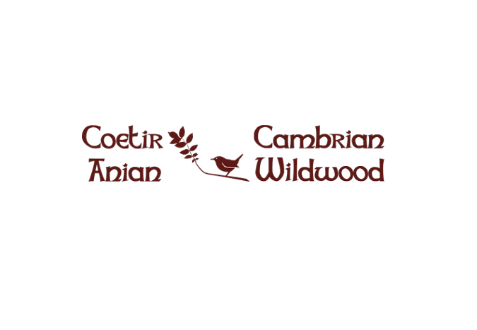 Cambrian Wildwood