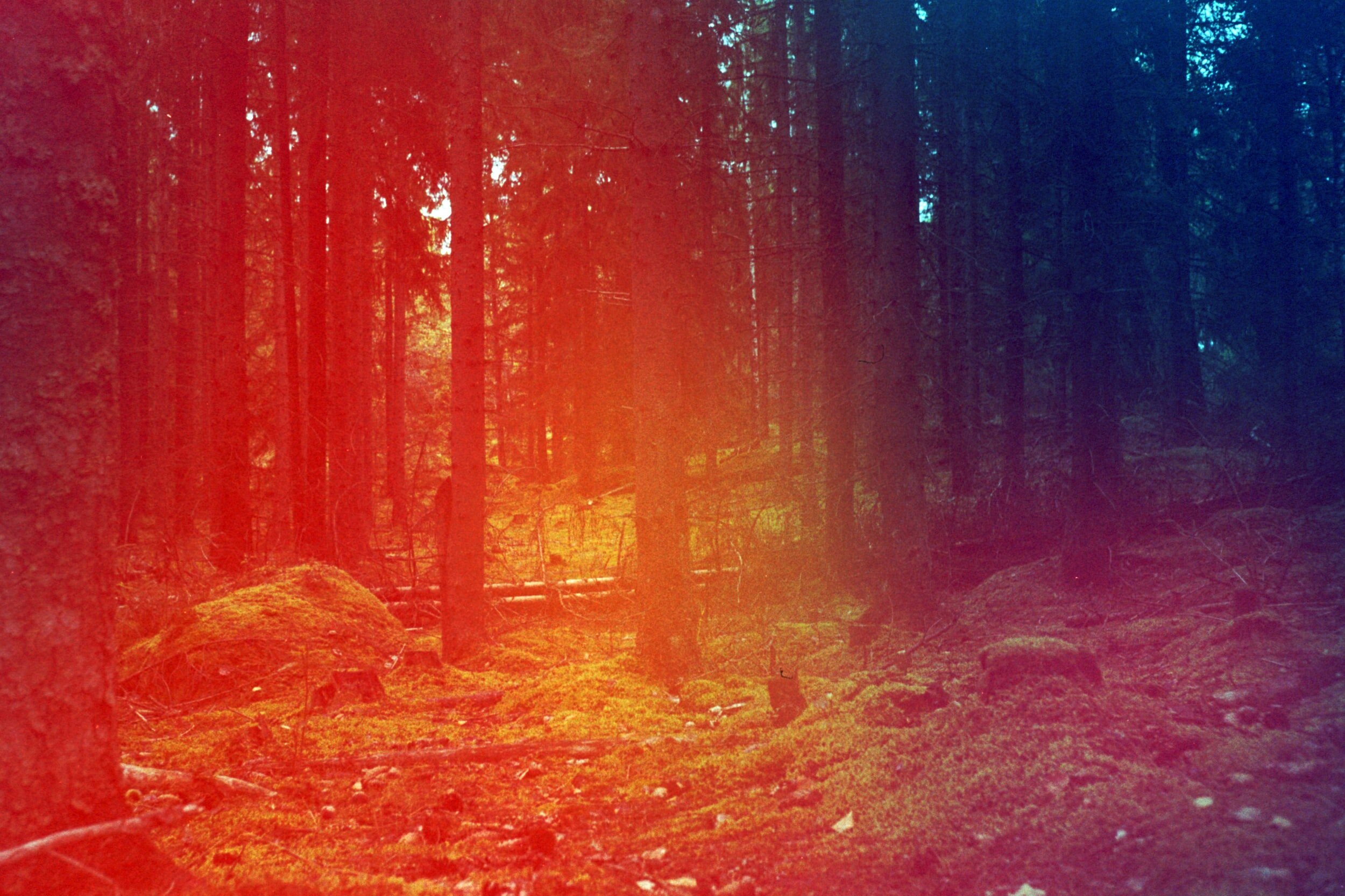 Coming soon: Film by Jason Lewis on the Wellbeing for Future Generations Act