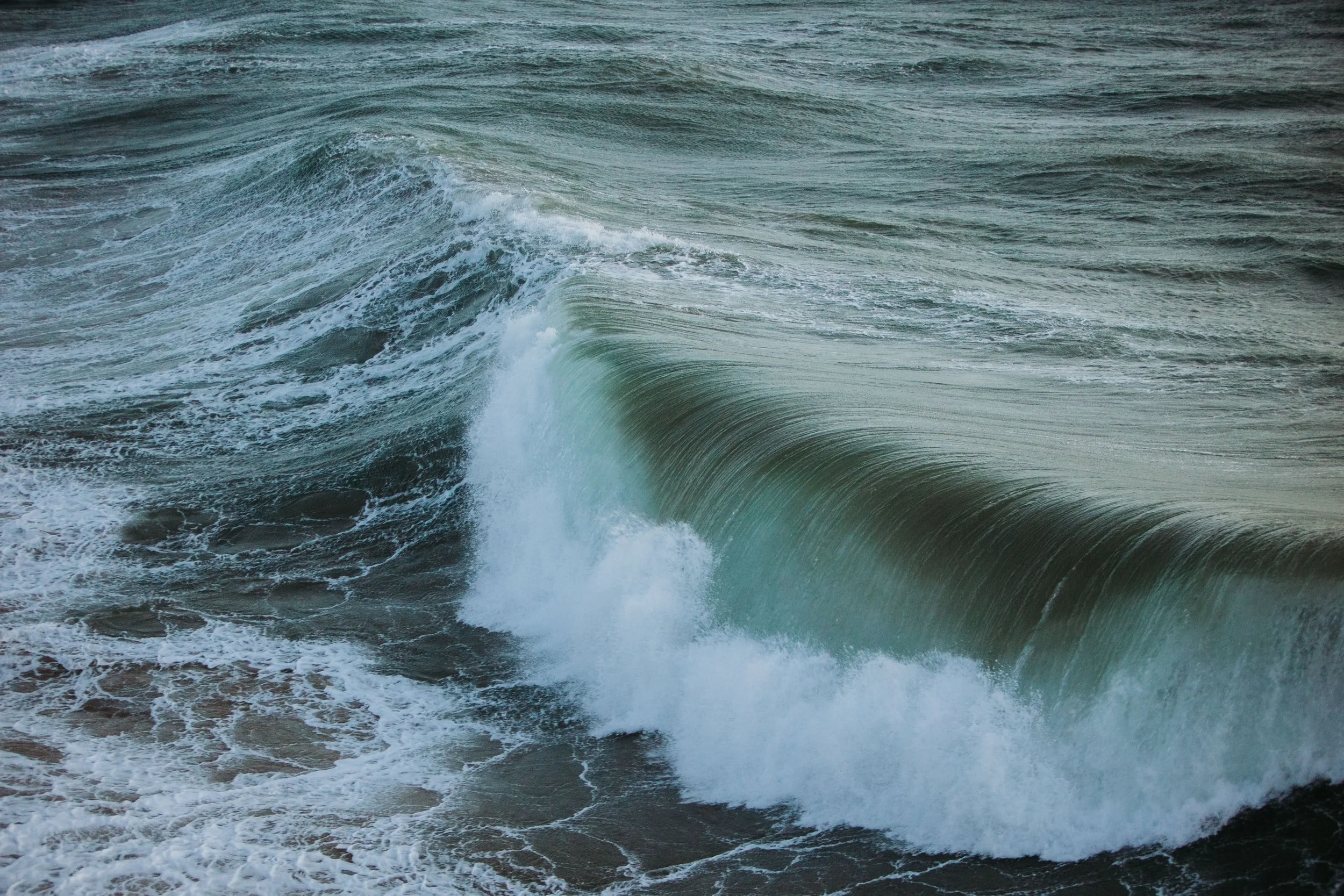 University of Essex: COVID19 and climate emergency workshop in the University of Essex