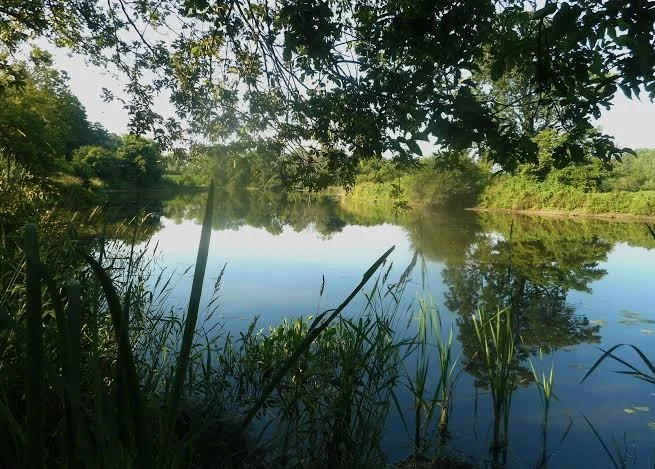 Grand River North